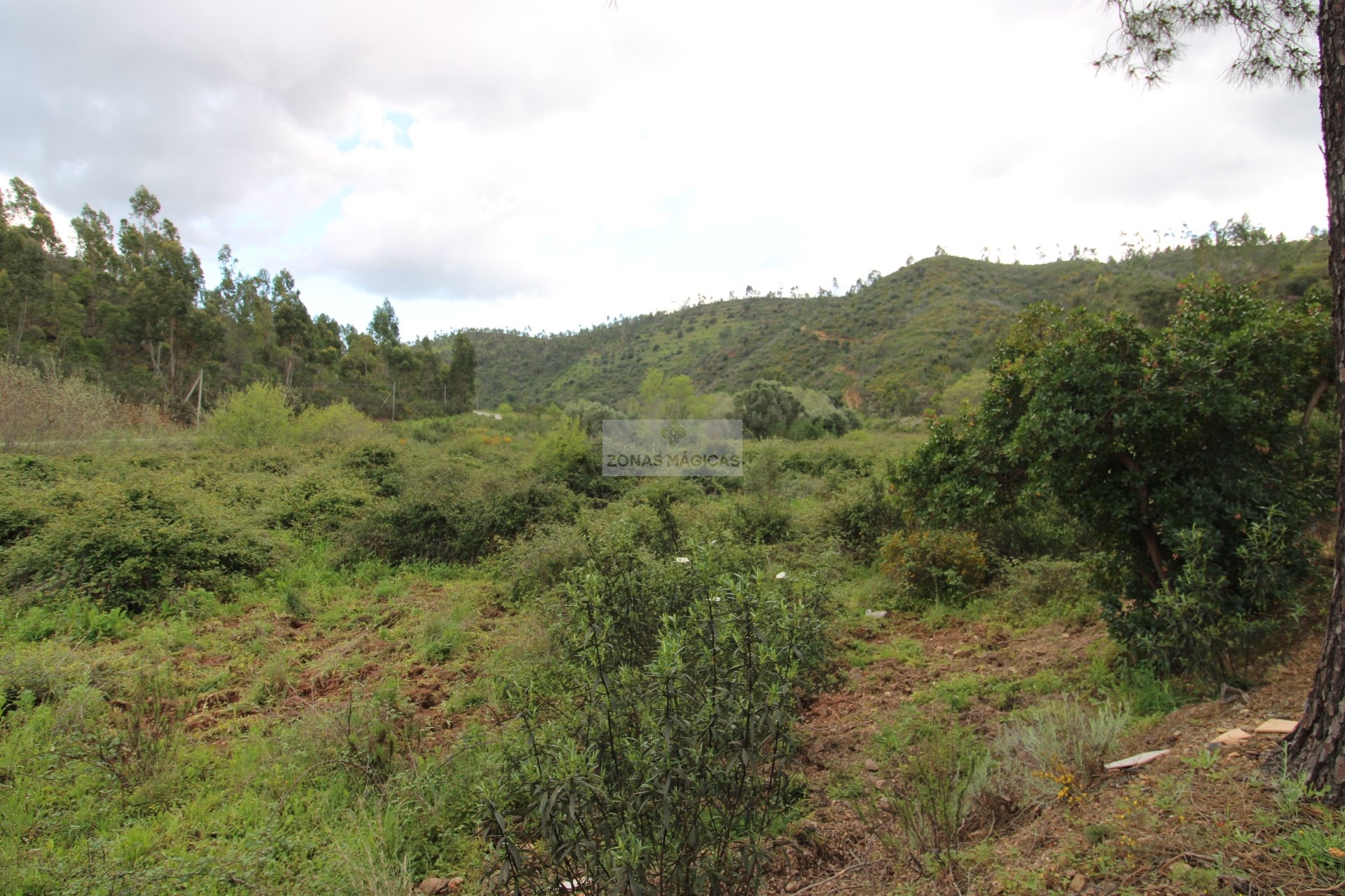 HouseFor Sale, Monchique, Faro, 8550-145