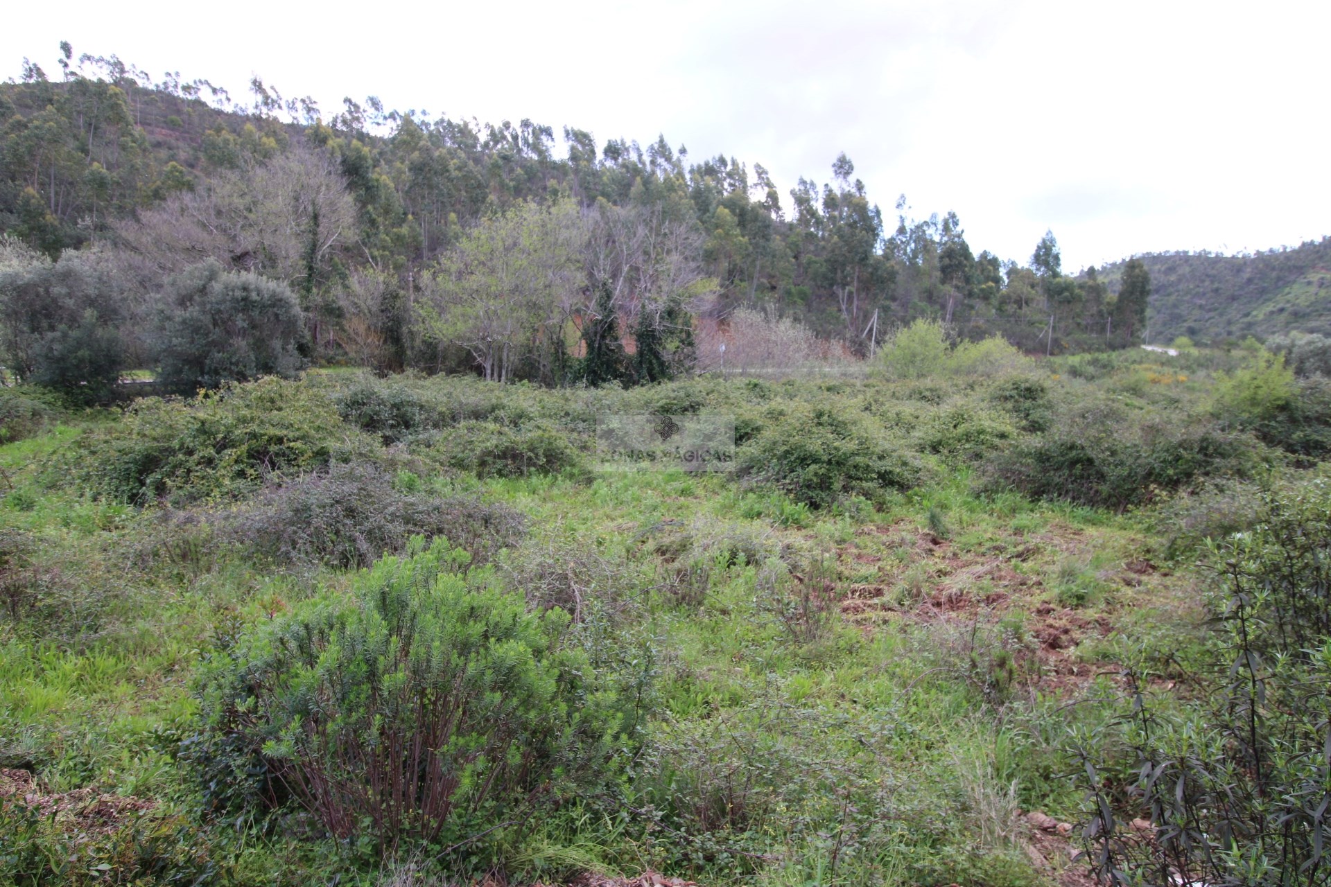 HouseFor Sale, Monchique, Faro, 8550-145