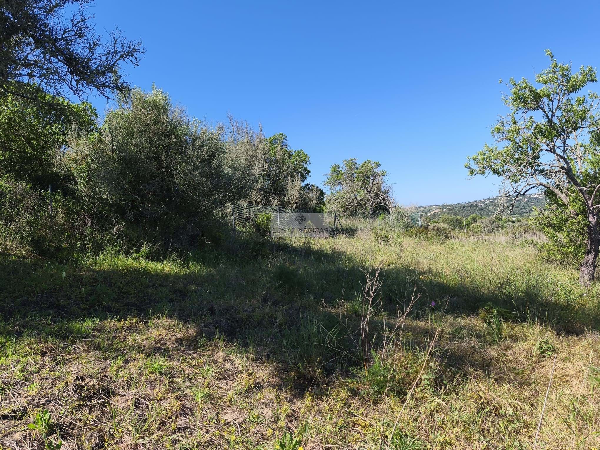 Land, For Sale