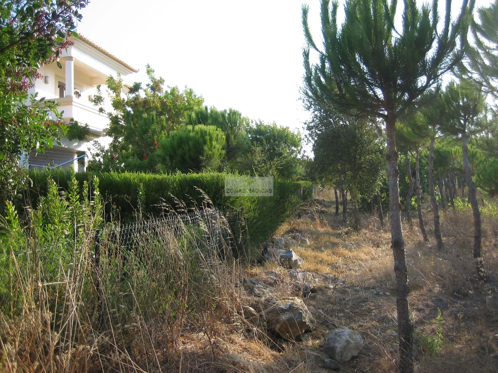 Land, For Sale