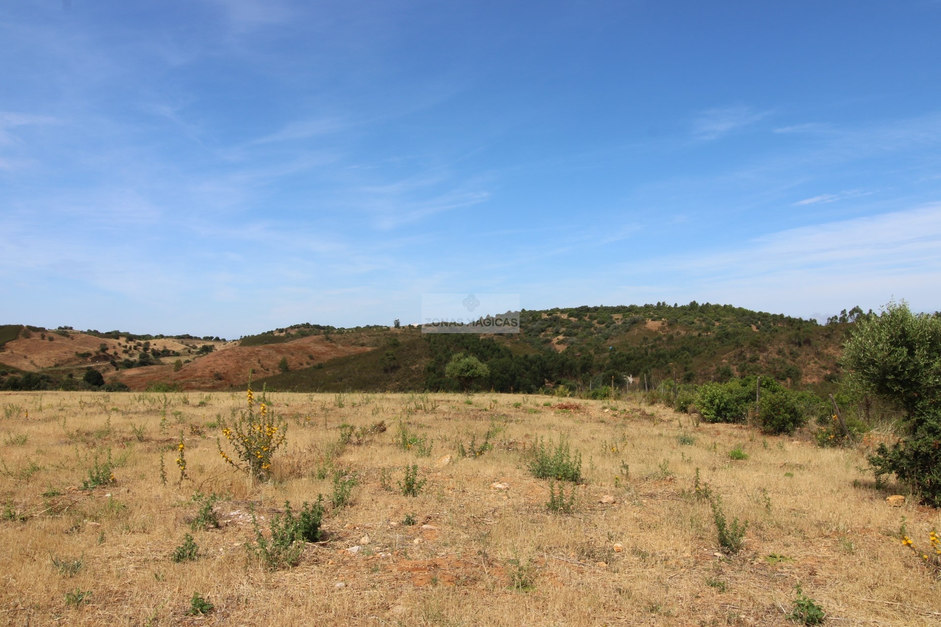 Land, For Sale