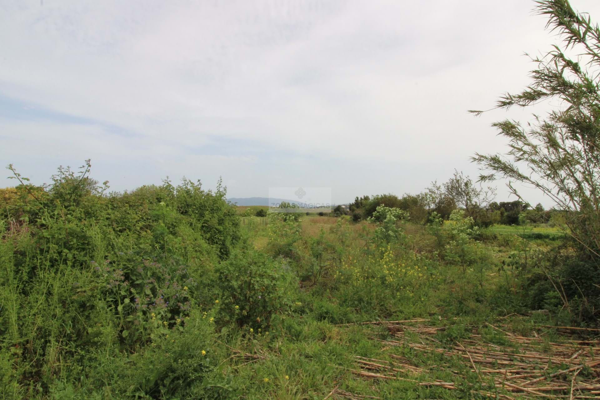 Land, For Sale