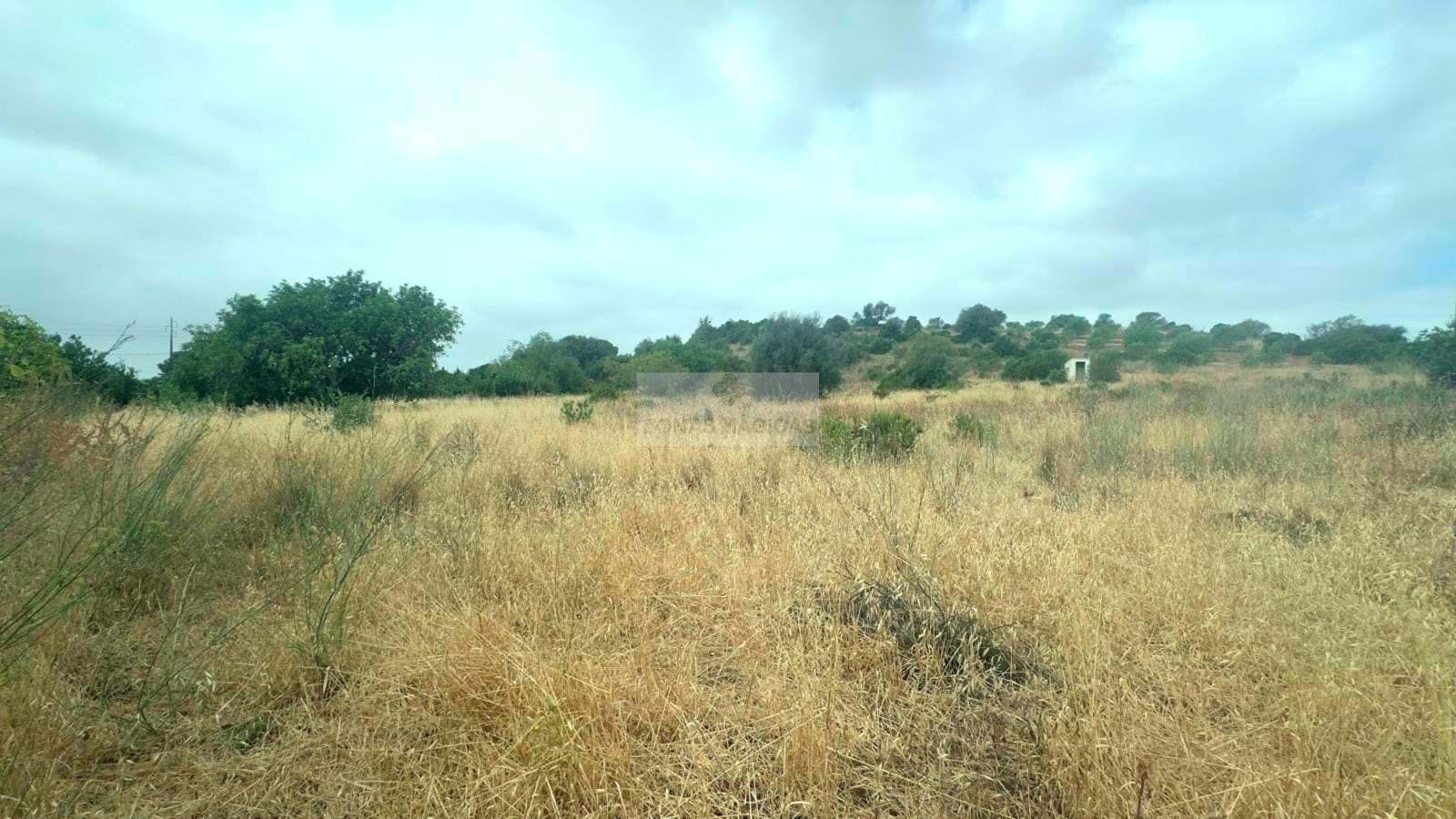 Land, For Sale