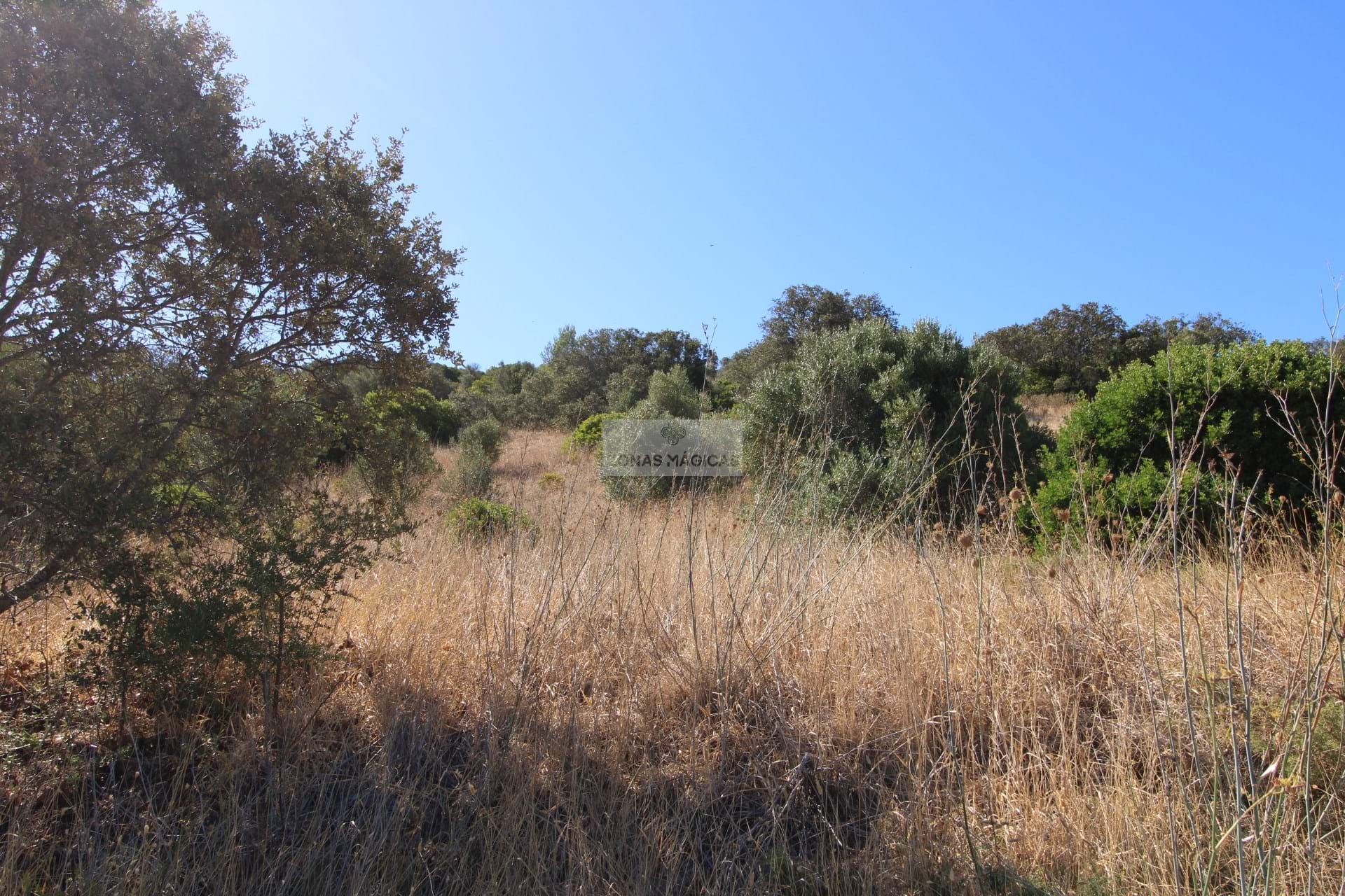 Land, For Sale