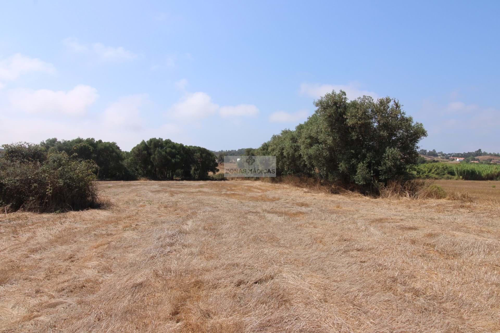Land, For Sale