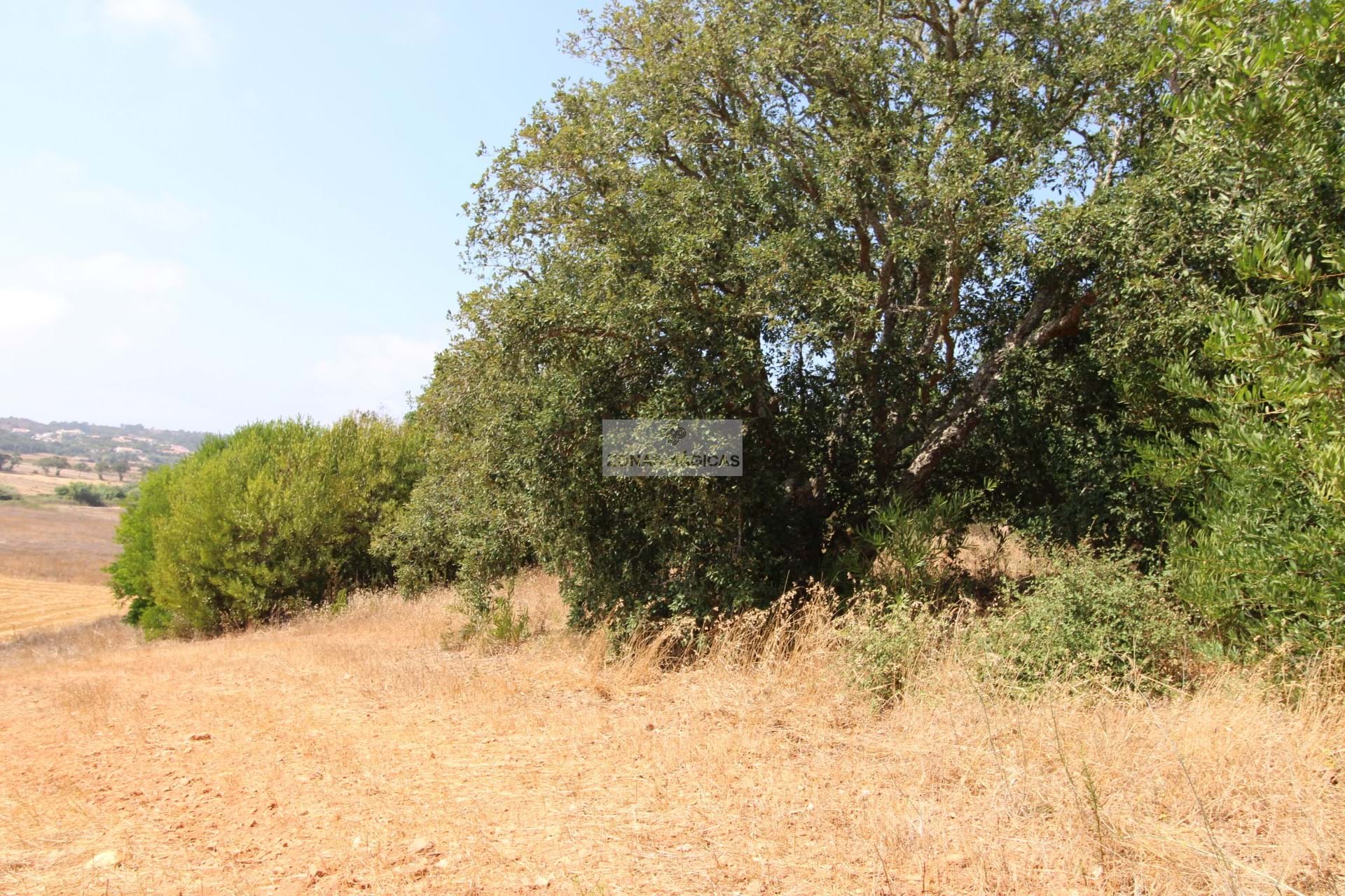 Land, For Sale