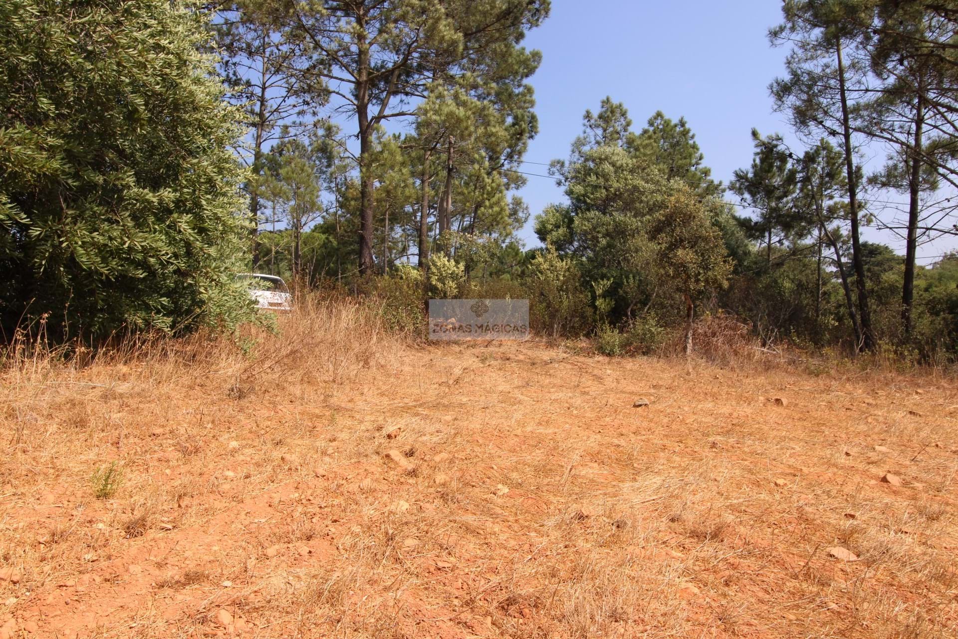 Land, For Sale