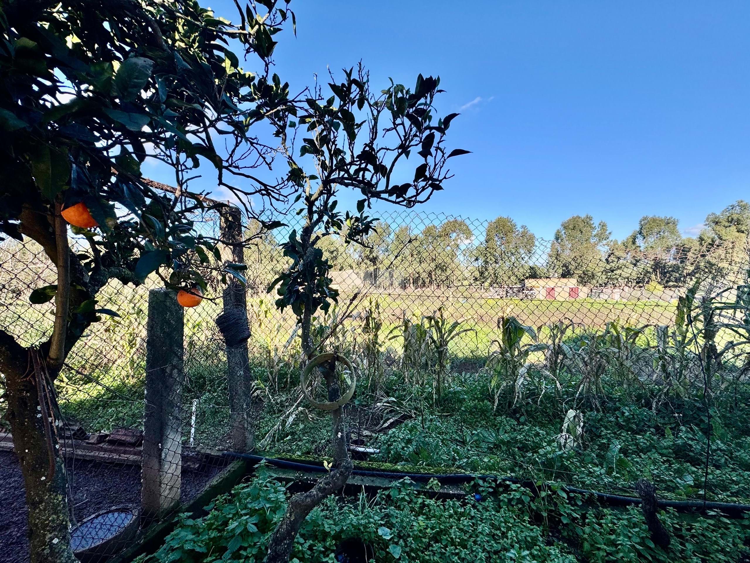 3 Bed, 2 Bath, HouseFor Sale, Lagos, Faro, 8600-252