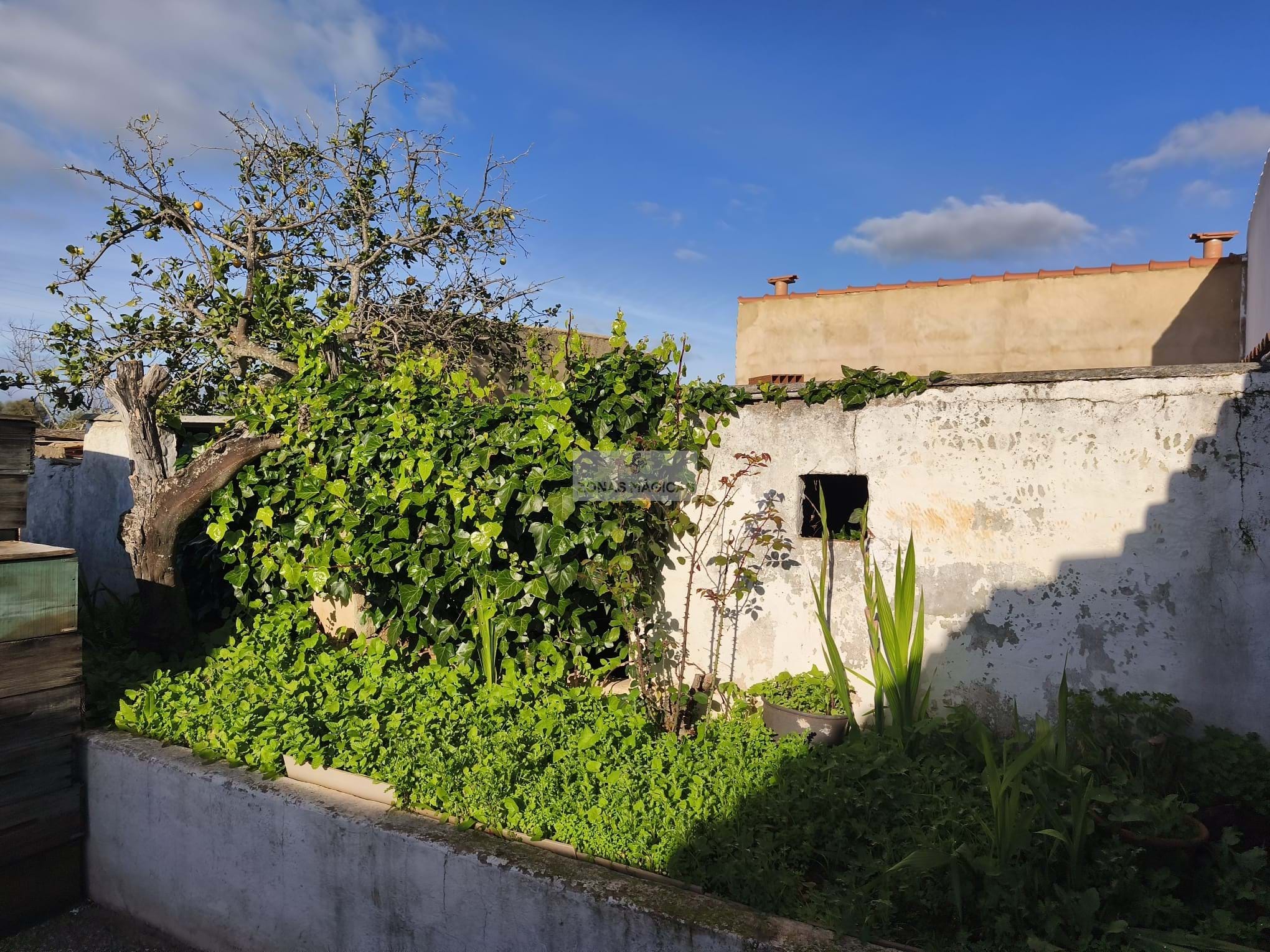 2 Bed, 1 Bath, HouseFor Sale, Lagos, Faro, 8600-0069