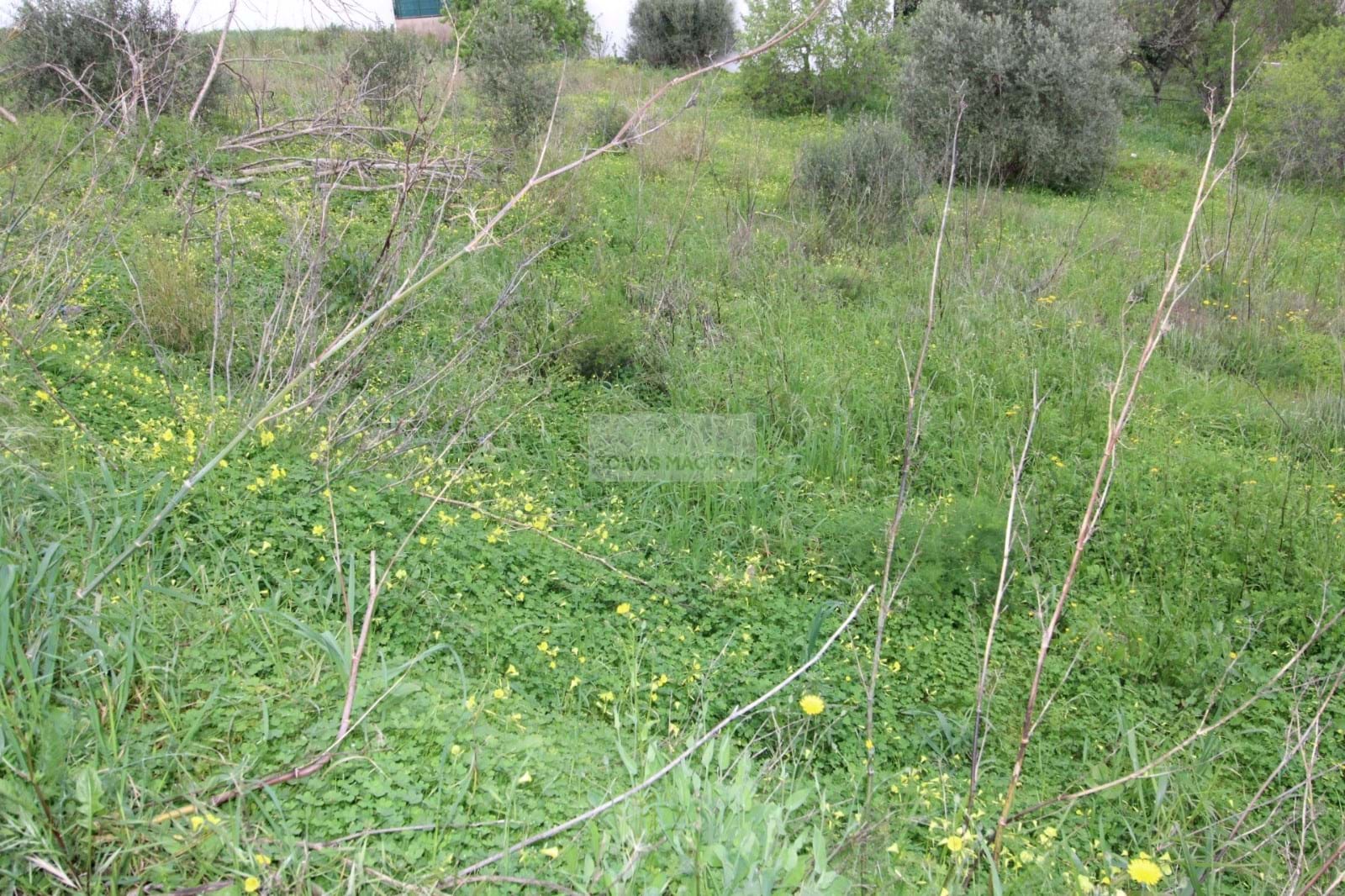 Land, For Sale