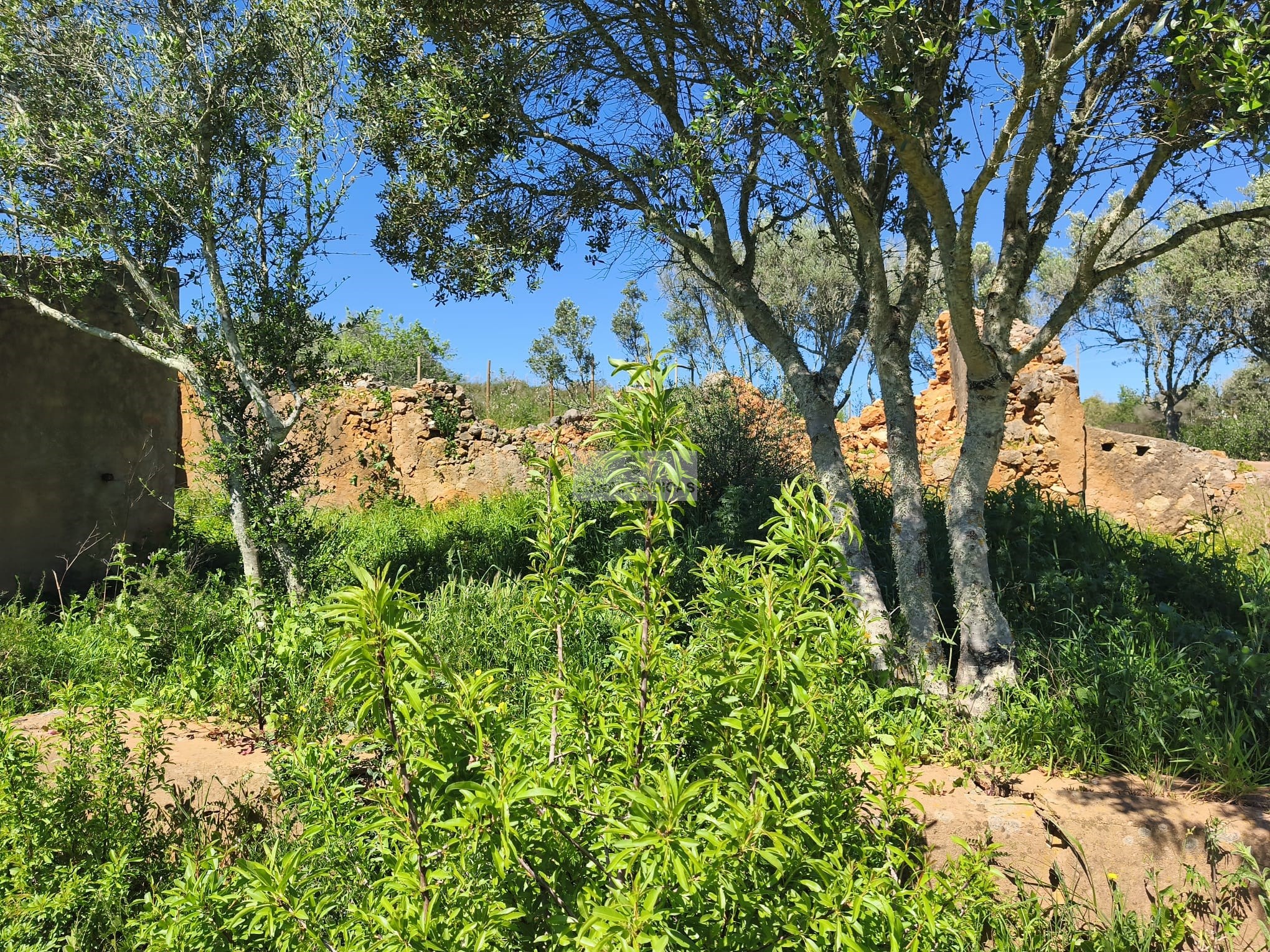 3 Bed, 1 Bath, HouseFor Sale, Lagos, Faro, 8600-109