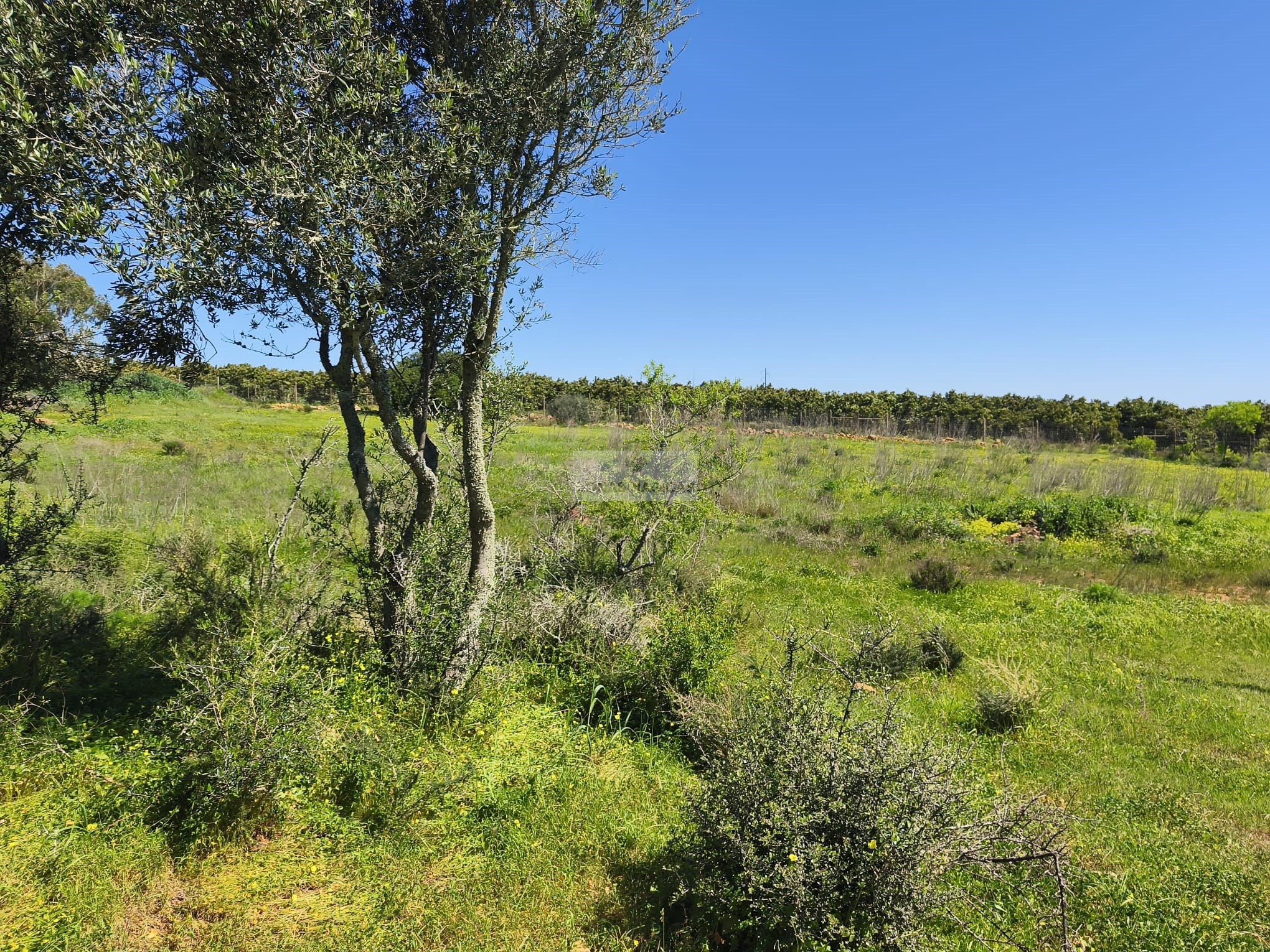 3 Bed, 1 Bath, HouseFor Sale, Lagos, Faro, 8600-109