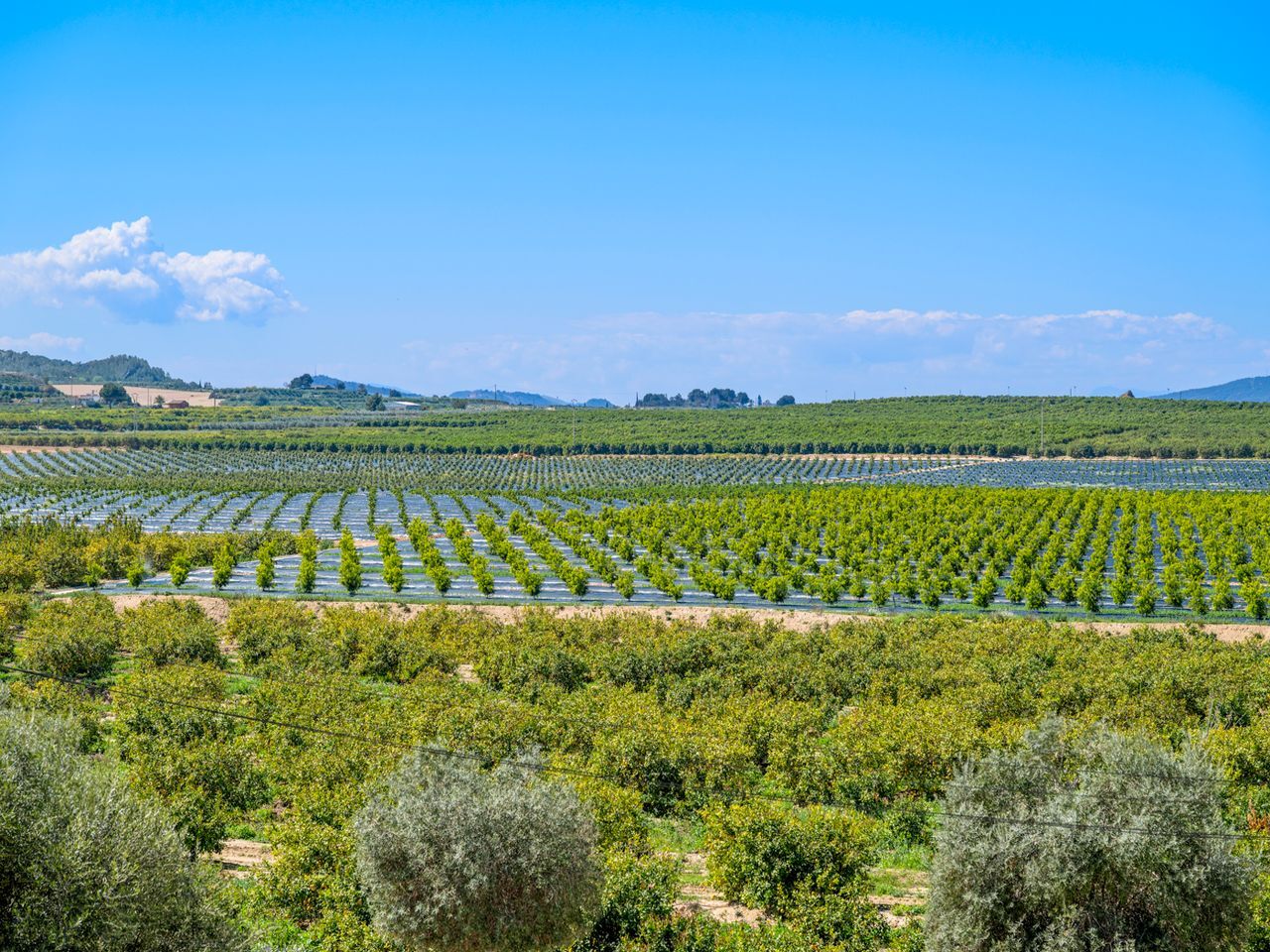 2 Bed, 1 Bath, ApartmentFor Sale, Algorfa, Alicante