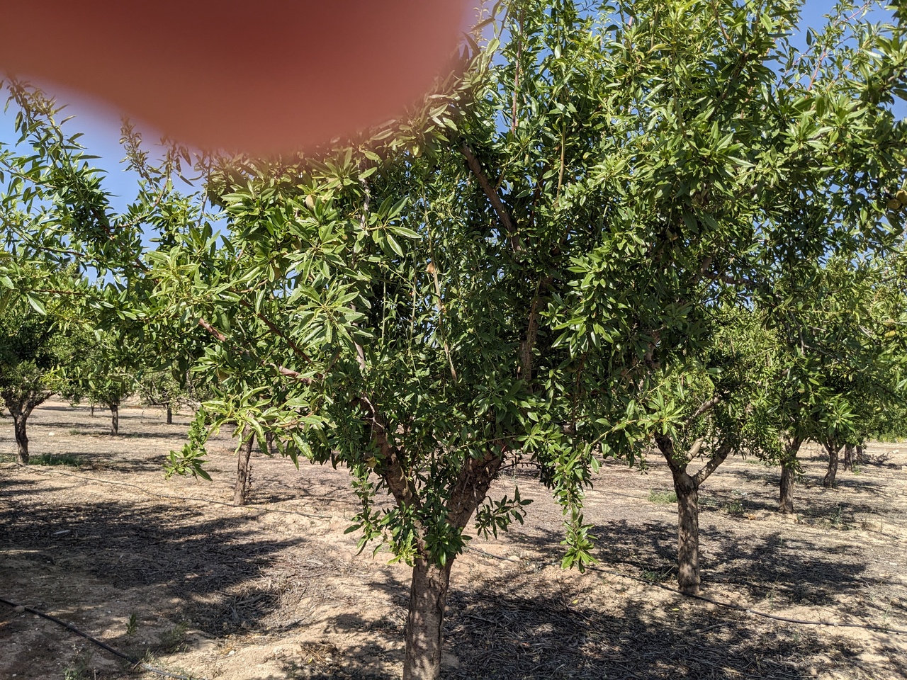 3 Bed, 2 Bath, HouseFor Sale, Murcia, Murcia