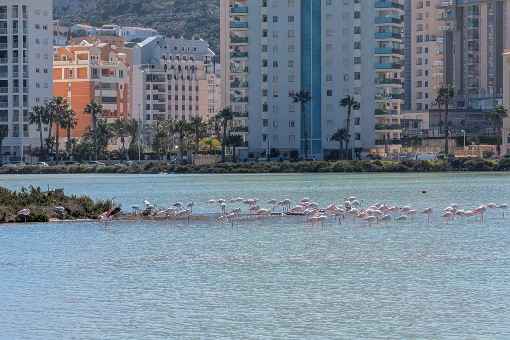 3 Bed, 2 Bath, HouseFor Sale, Calpe, Alicante