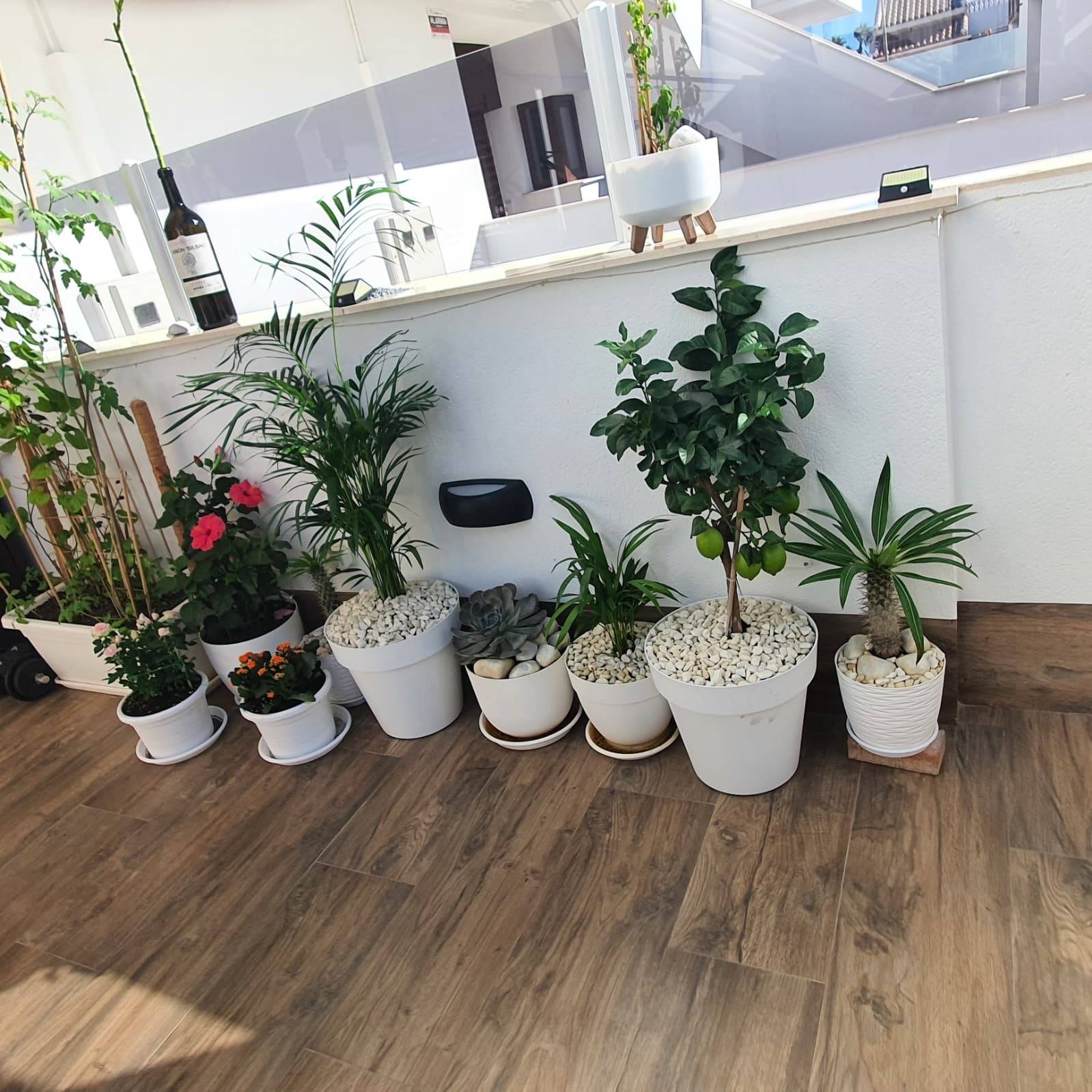 2 Bed, 2 Bath, HouseFor Sale, San Pedro Del Pinatar, Murcia