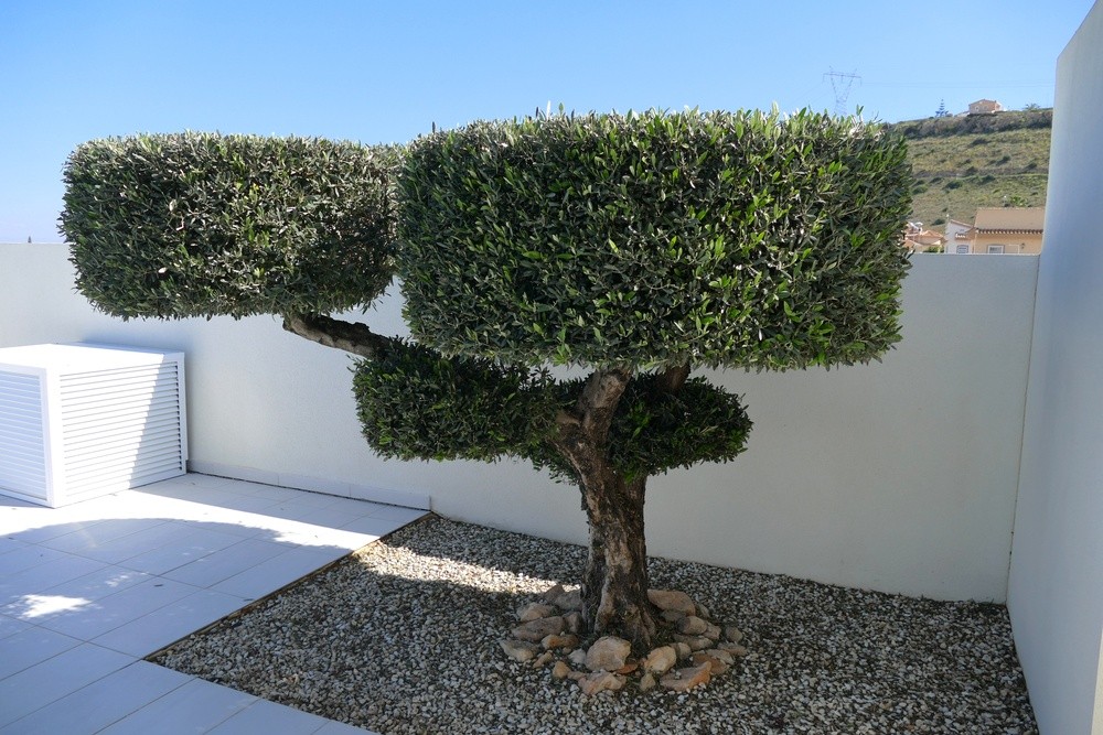 4 Bed, 2 Bath, HouseFor Sale, Benijofar, Alicante