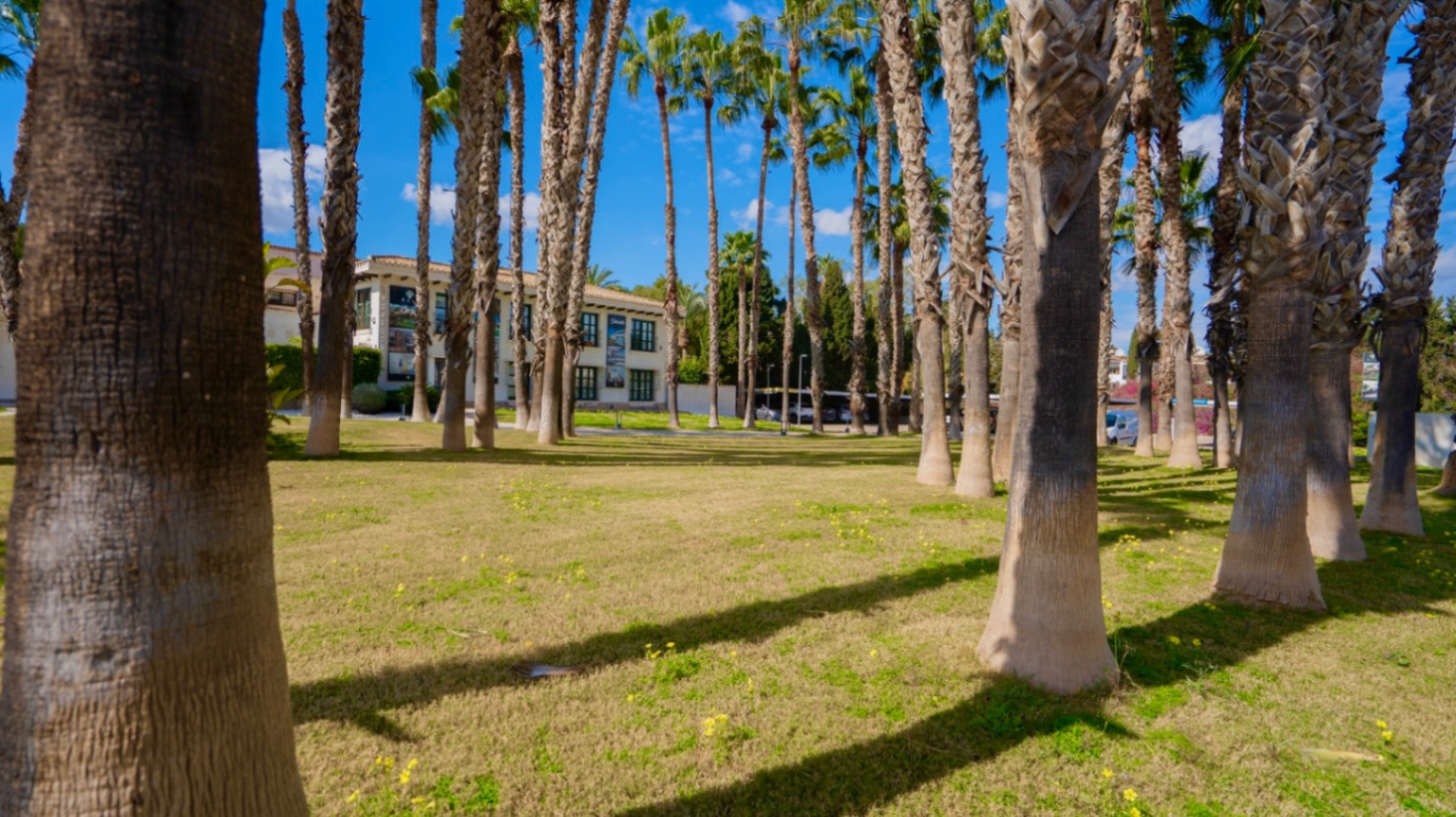 1 Bed, 1 Bath, ApartmentFor Sale, Orihuela, Alicante