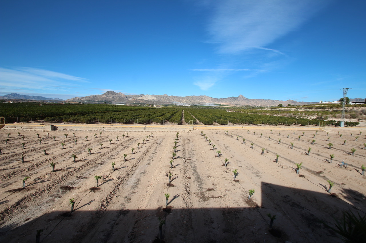 6 Bed, 3 Bath, HouseFor Sale, Murcia, Murcia