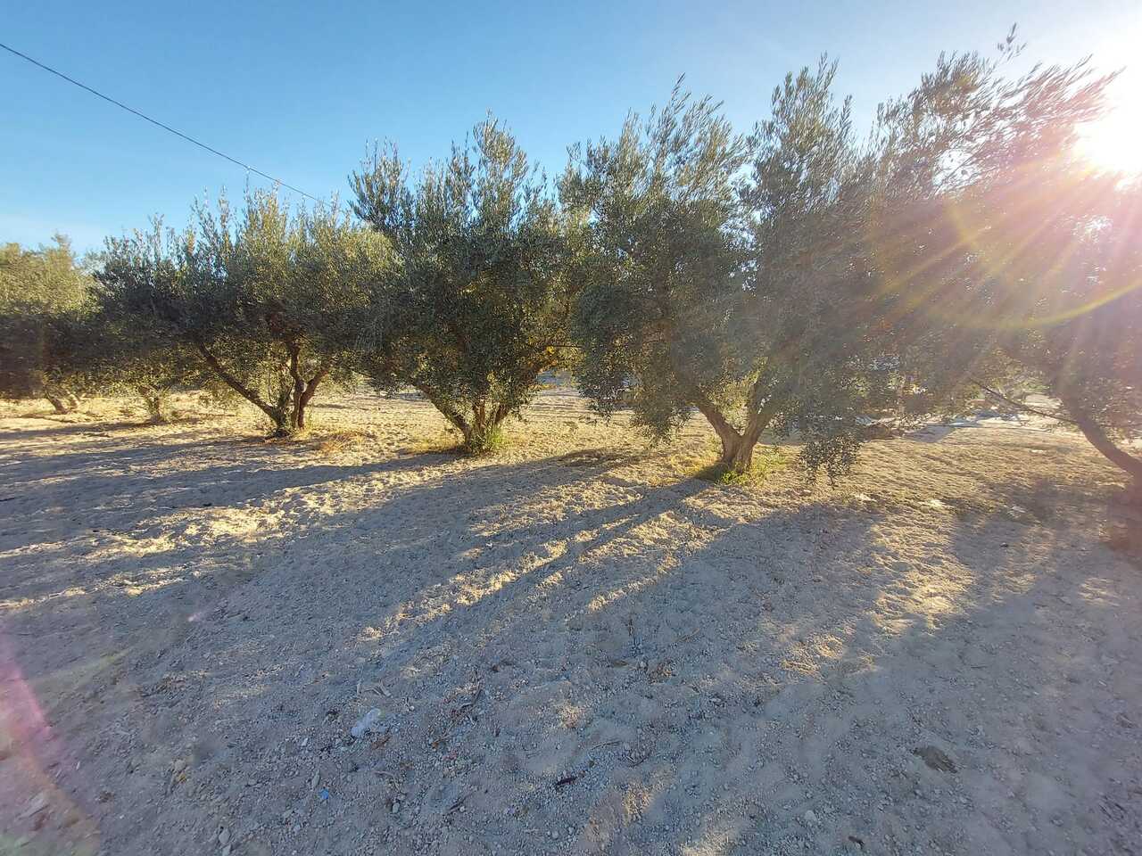 3 Bed, 2 Bath, HouseFor Sale, Calasparra, Murcia