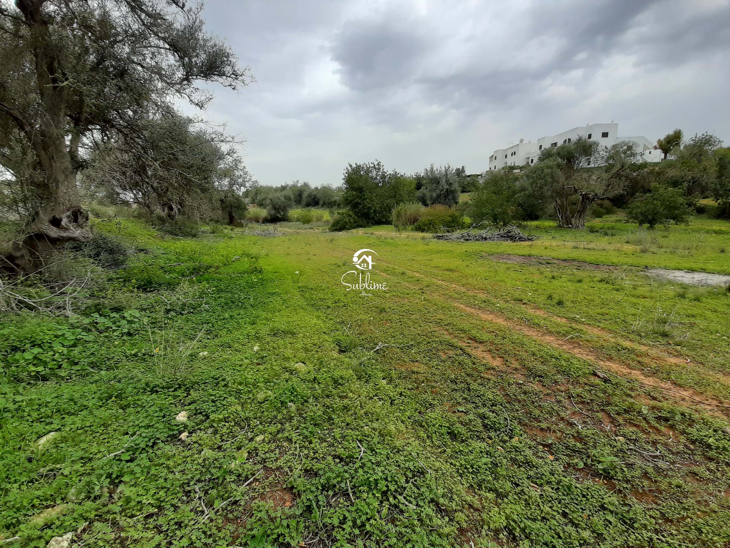 Land, For Sale