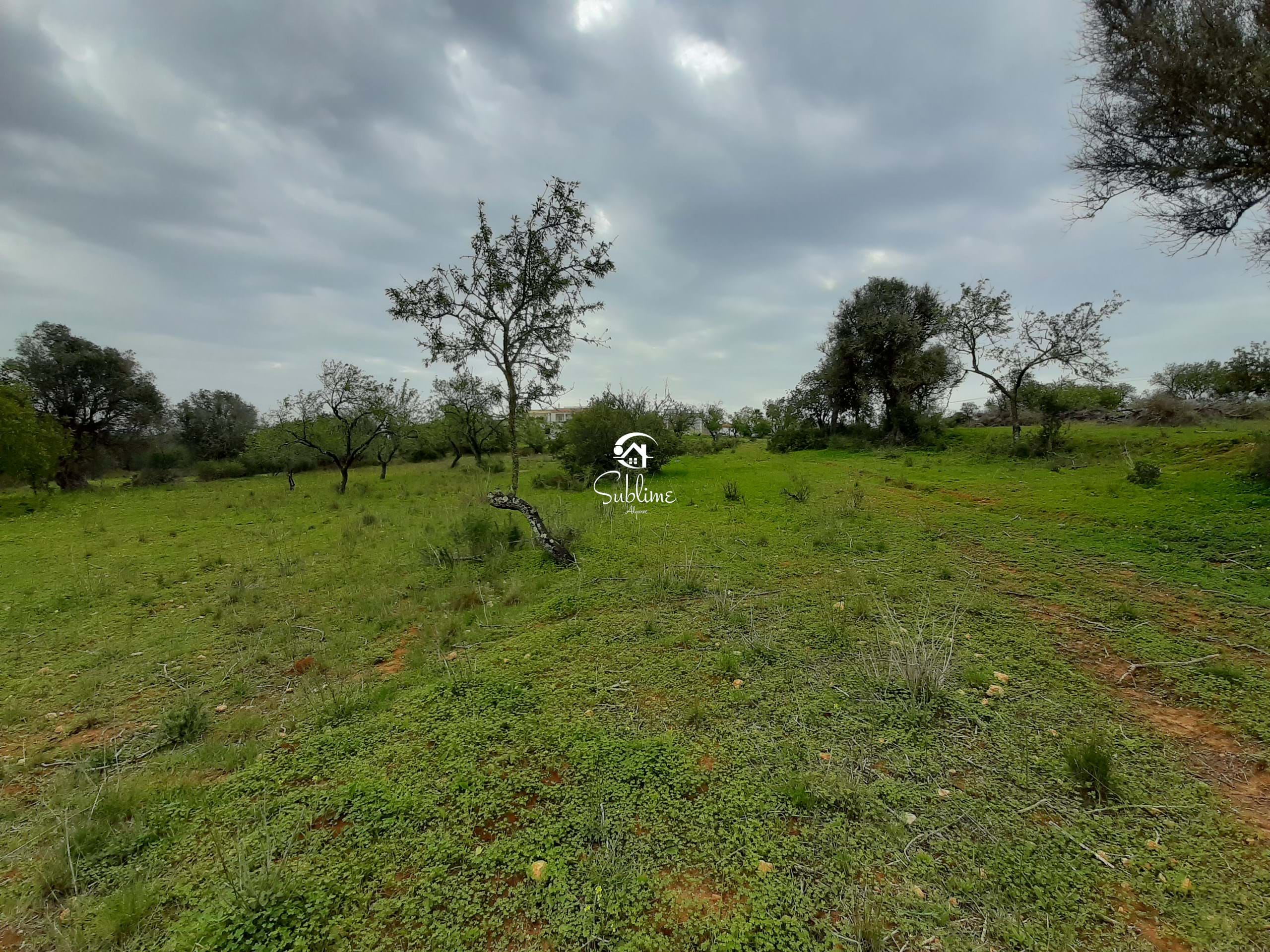 Land, For Sale