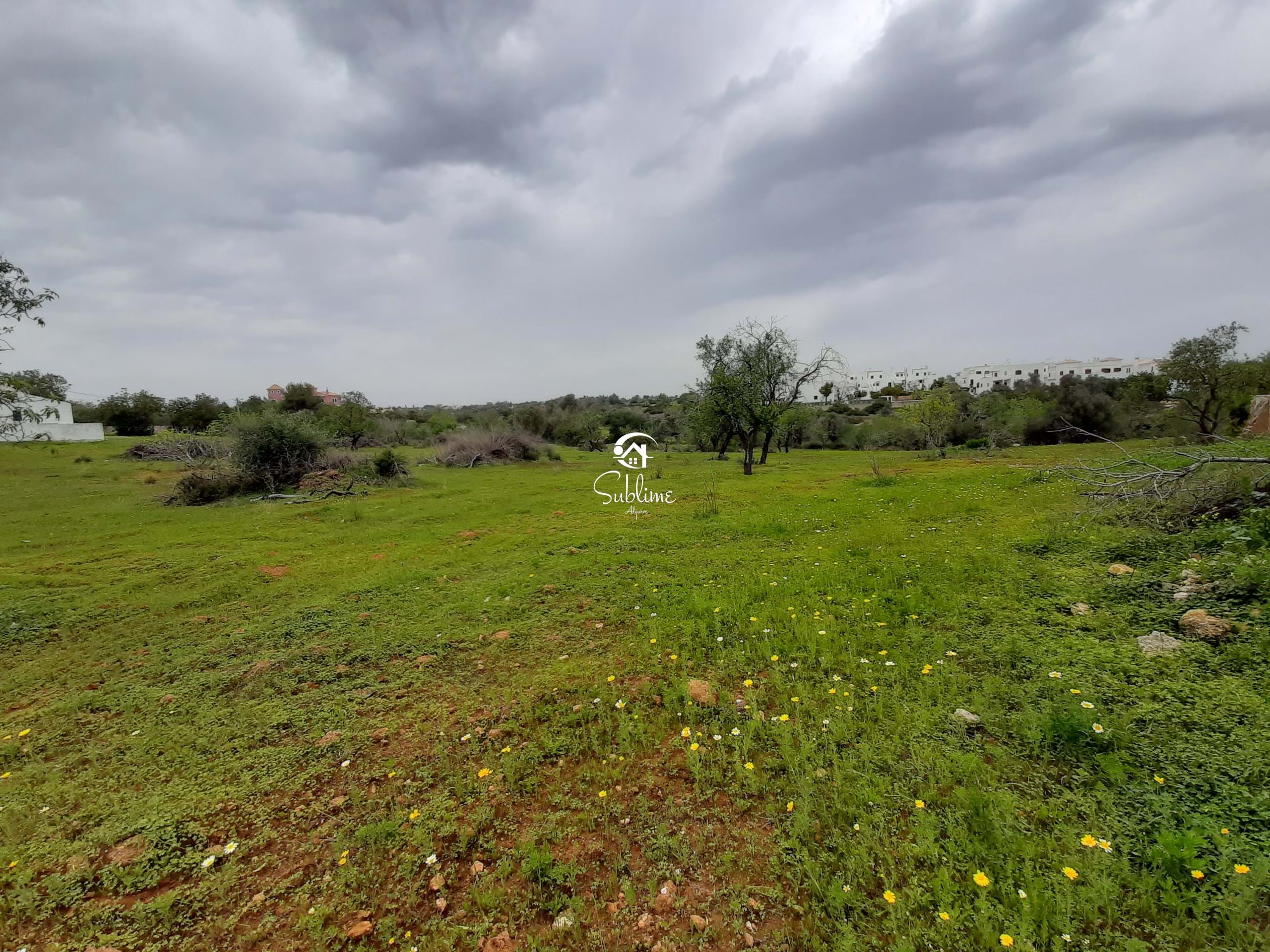 Land, For Sale