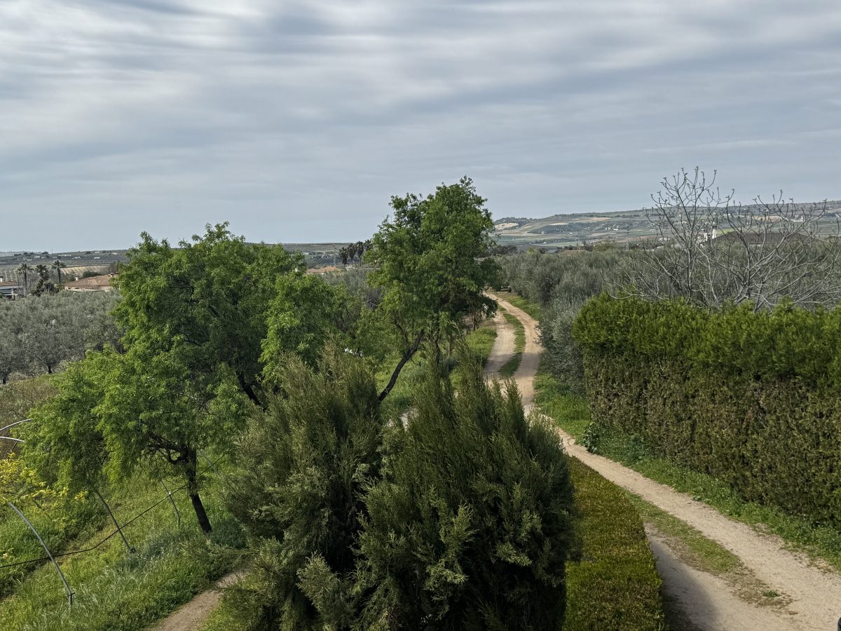 8 Bed, 2 Bath, HouseFor Sale, Setenil de Las Bodegas, Andalucia