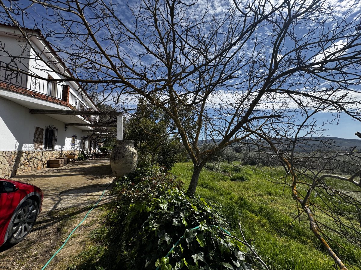 8 Bed, 2 Bath, HouseFor Sale, Setenil de Las Bodegas, Andalucia
