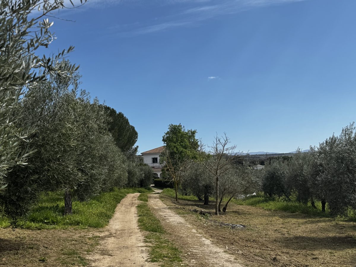 8 Bed, 2 Bath, HouseFor Sale, Setenil de Las Bodegas, Andalucia