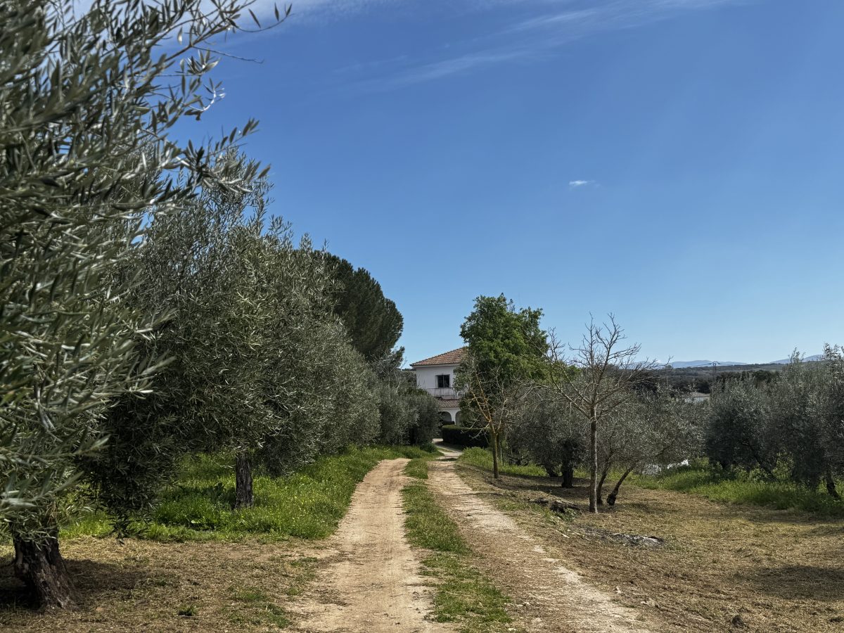 8 Bed, 2 Bath, HouseFor Sale, Setenil de Las Bodegas, Andalucia