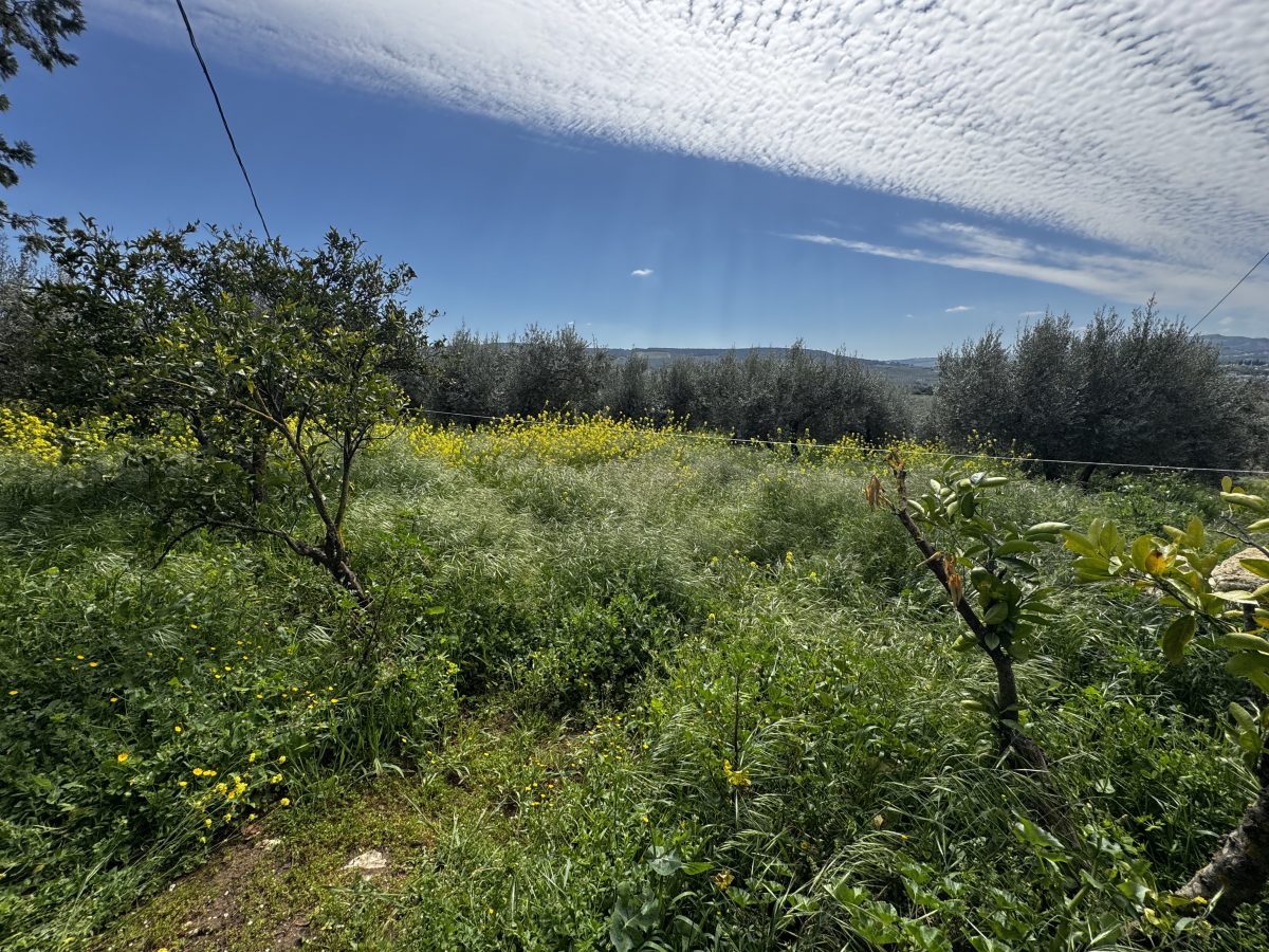 8 Bed, 2 Bath, HouseFor Sale, Setenil de Las Bodegas, Andalucia