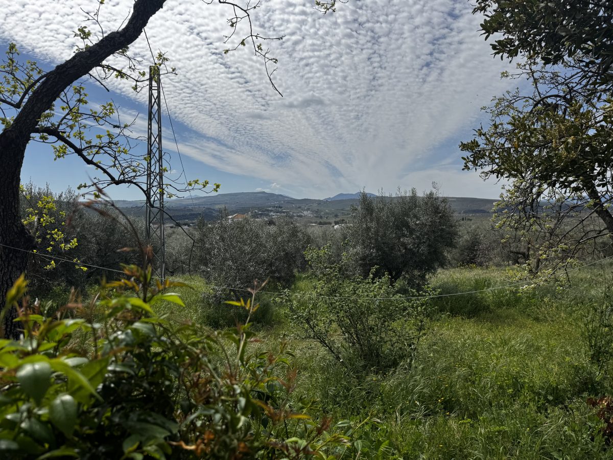 8 Bed, 2 Bath, HouseFor Sale, Setenil de Las Bodegas, Andalucia