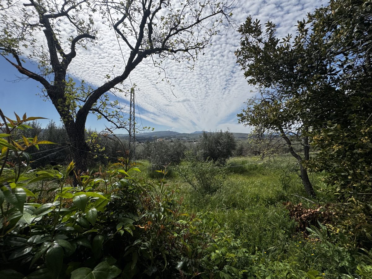 8 Bed, 2 Bath, HouseFor Sale, Setenil de Las Bodegas, Andalucia