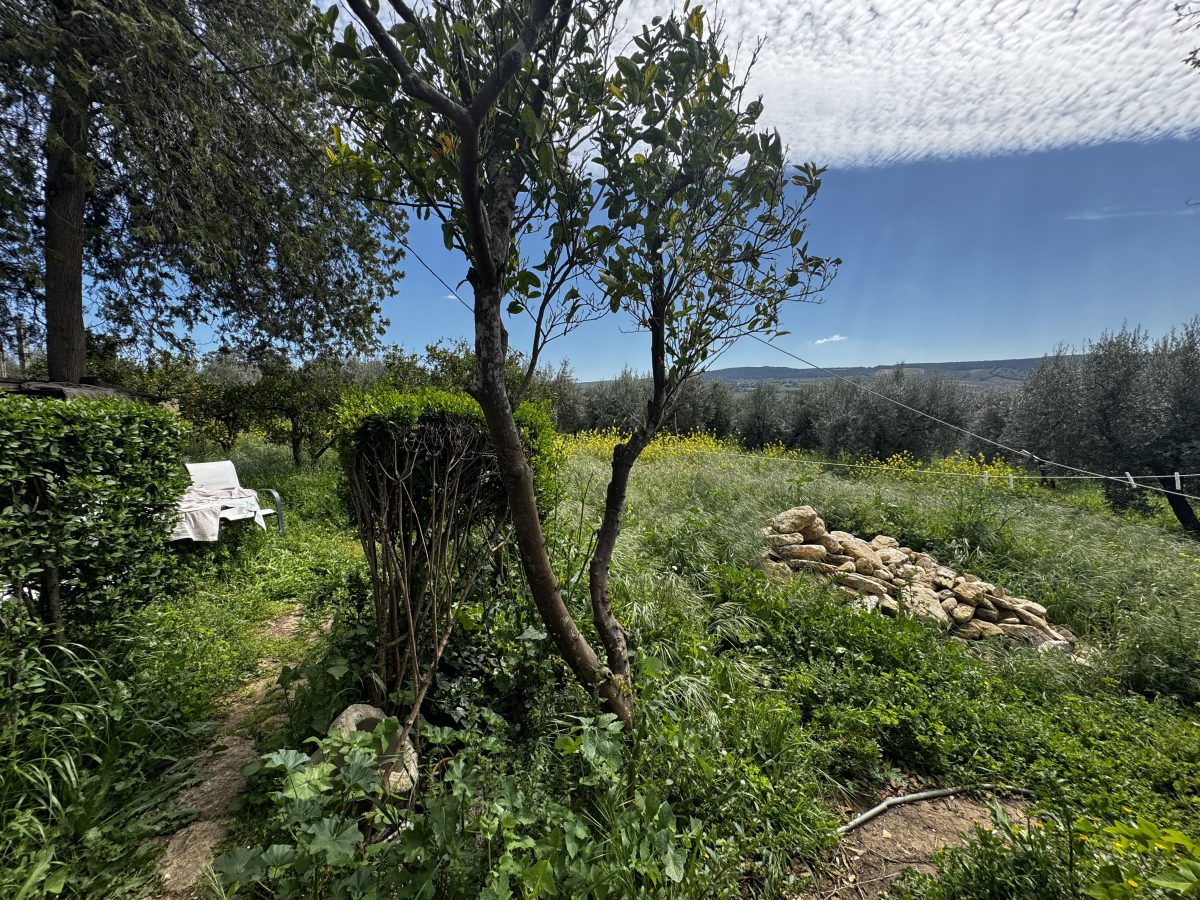 8 Bed, 2 Bath, HouseFor Sale, Setenil de Las Bodegas, Andalucia