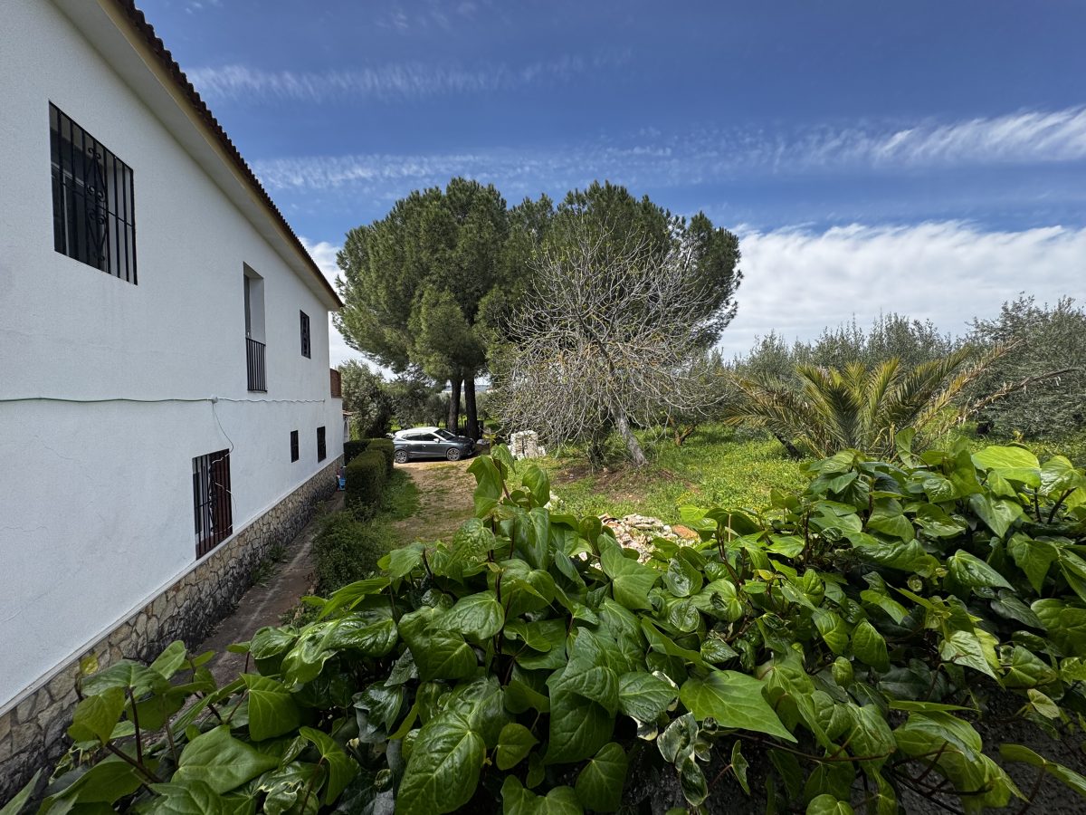 8 Bed, 2 Bath, HouseFor Sale, Setenil de Las Bodegas, Andalucia
