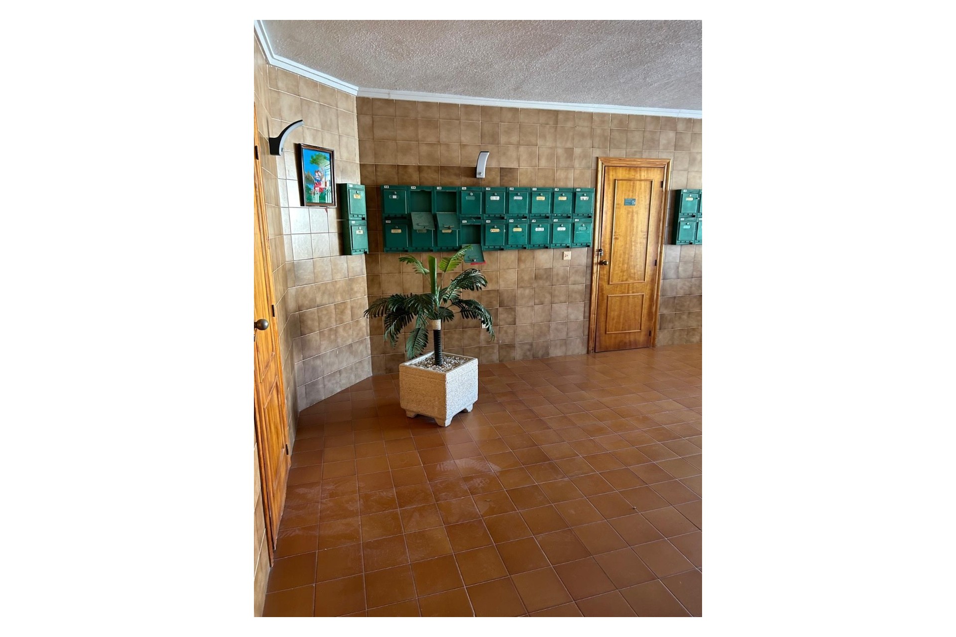 1 Bed, 1 Bath, ApartmentFor Sale, Cabo Roig, Alicante