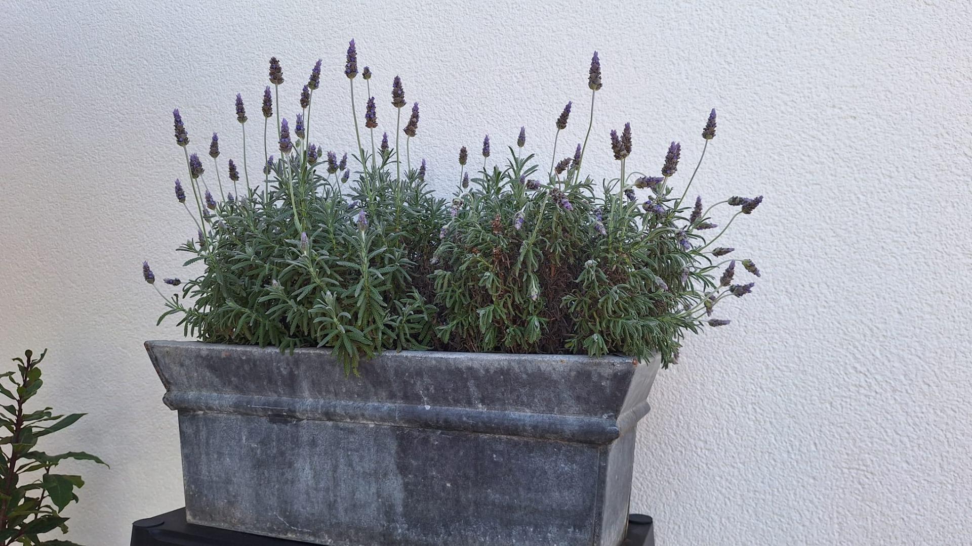 4 Bed, 3 Bath, HouseFor Sale, Torrevieja, Alicante