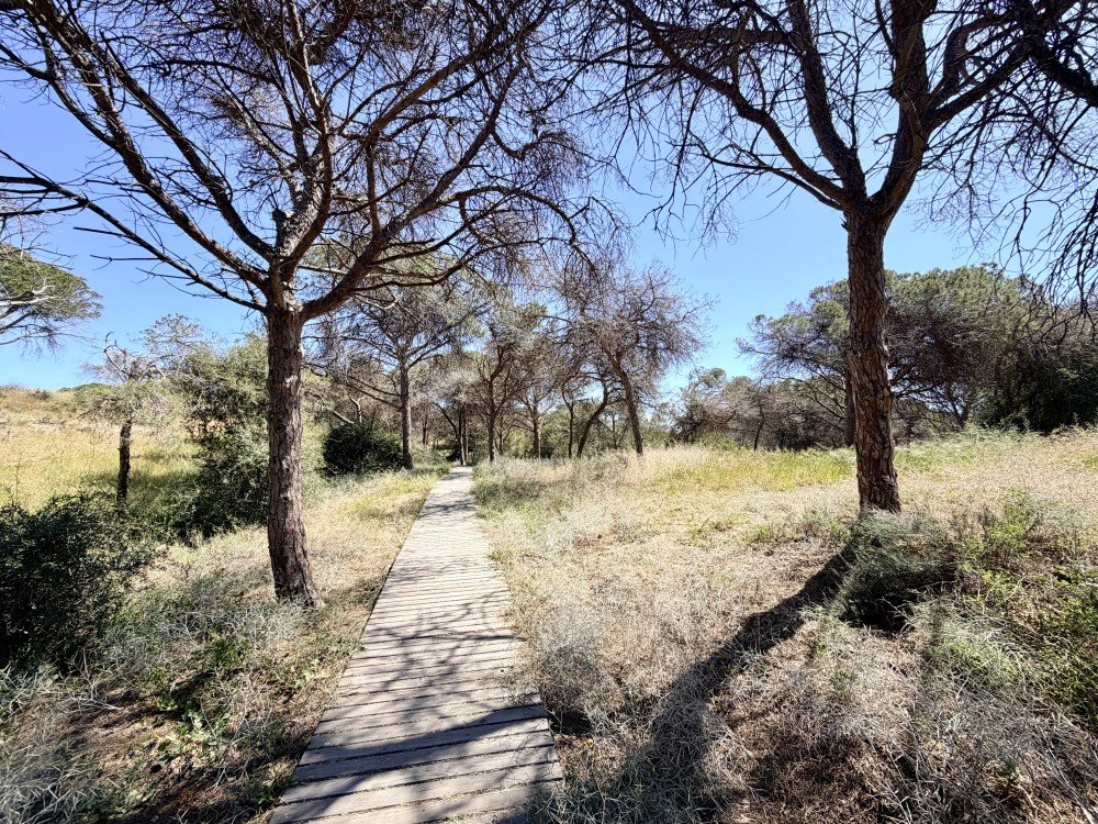 2 Bed, 1 Bath, ApartmentFor Sale, Guardamar Del Segura, Alicante