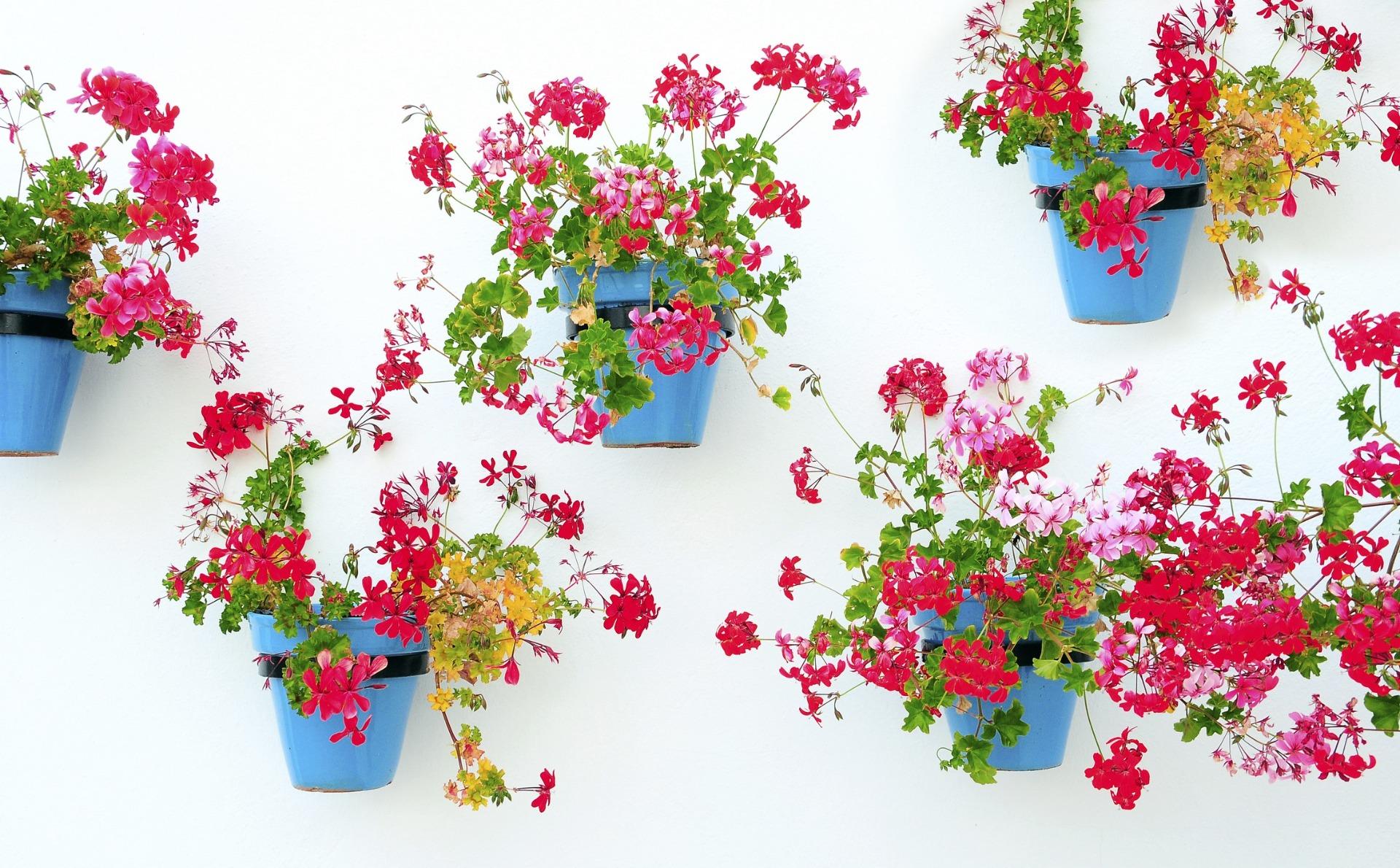 2 Bed, 2 Bath, ApartmentFor Sale, Mijas, Malaga