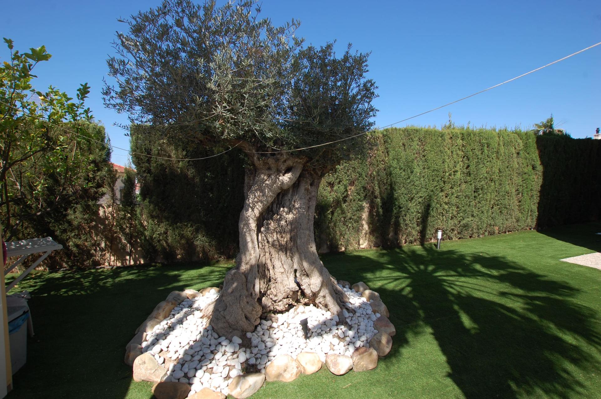 5 Bed, 4 Bath, HouseFor Sale, Ciudad Quesada, Alicante