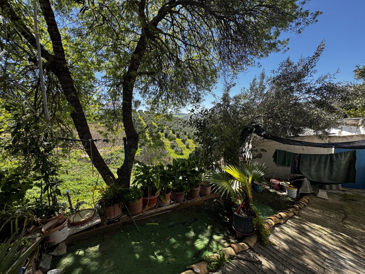 3 Bed, 1 Bath, HouseFor Sale, Torre Alhaquime, Andalucia