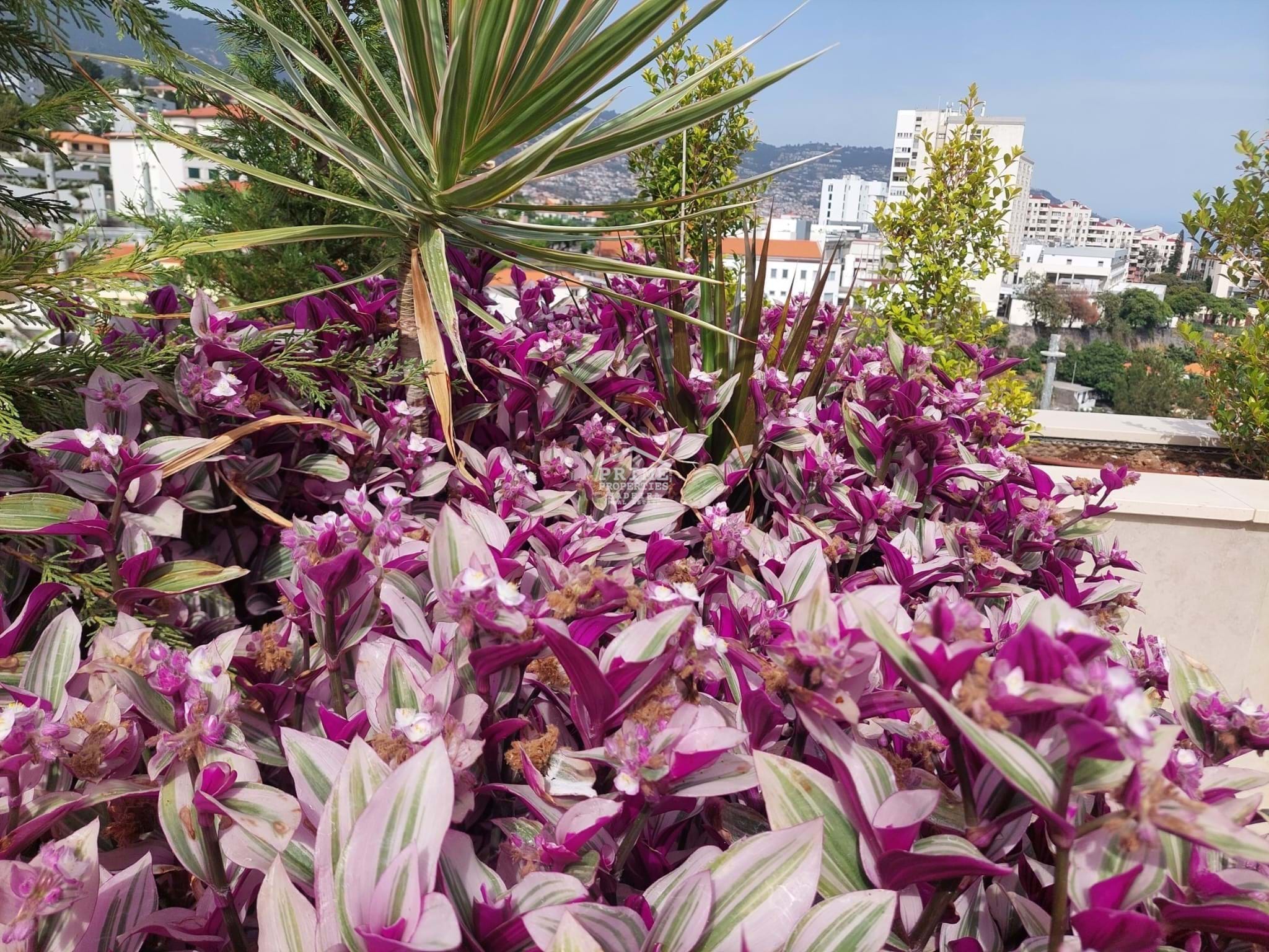 3 Bed, 2 Bath, ApartmentFor Sale, Funchal, Ilha da Madeira, 9000-000