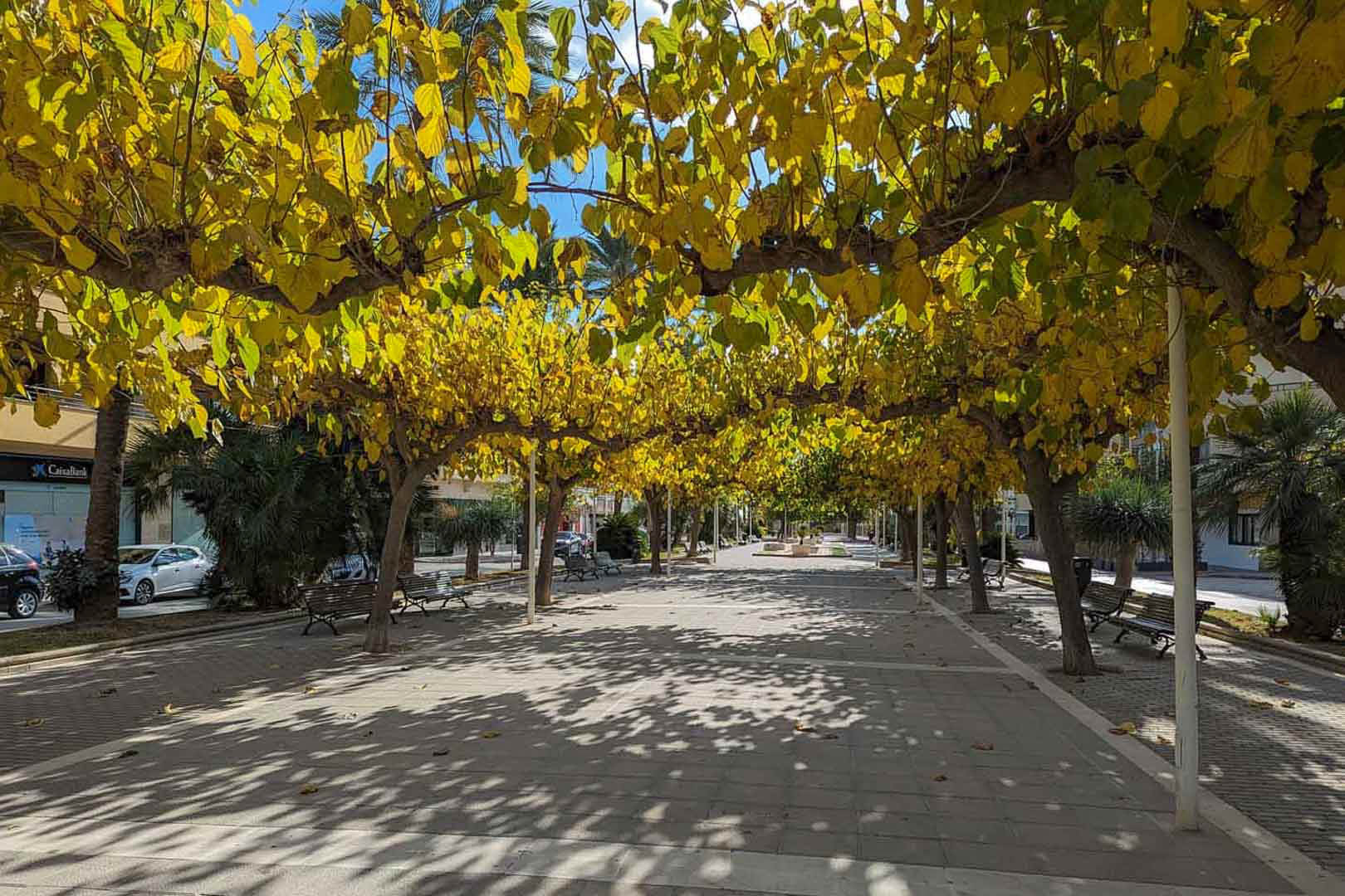 1 Bed, 1 Bath, ApartmentFor Sale