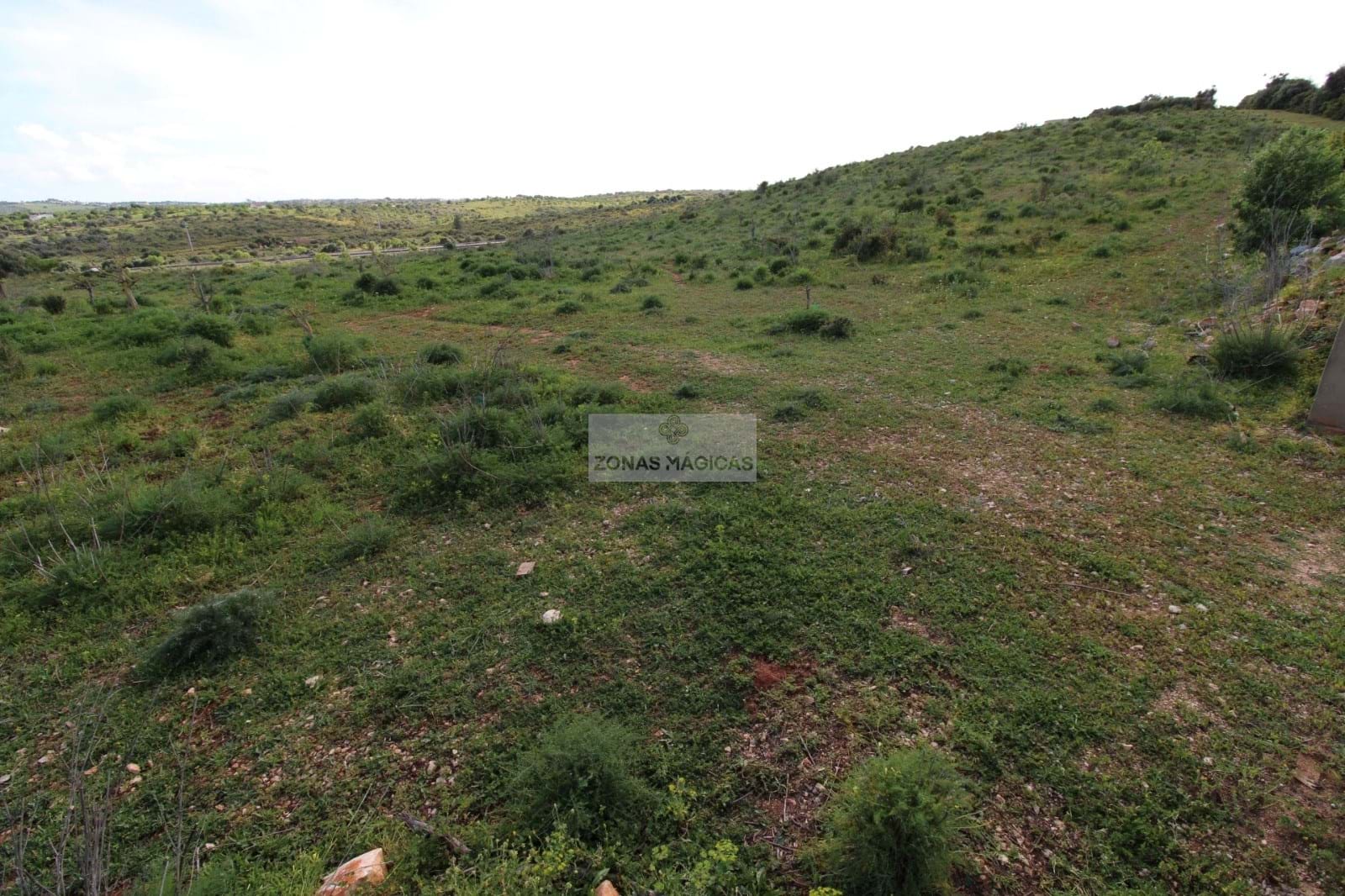 Land, For Sale