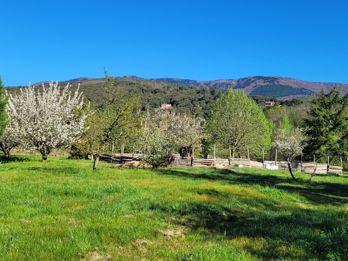 8 Bed, 5 Bath, HouseFor Sale, Olargues, Herault, Languedoc-Roussillon, 34390