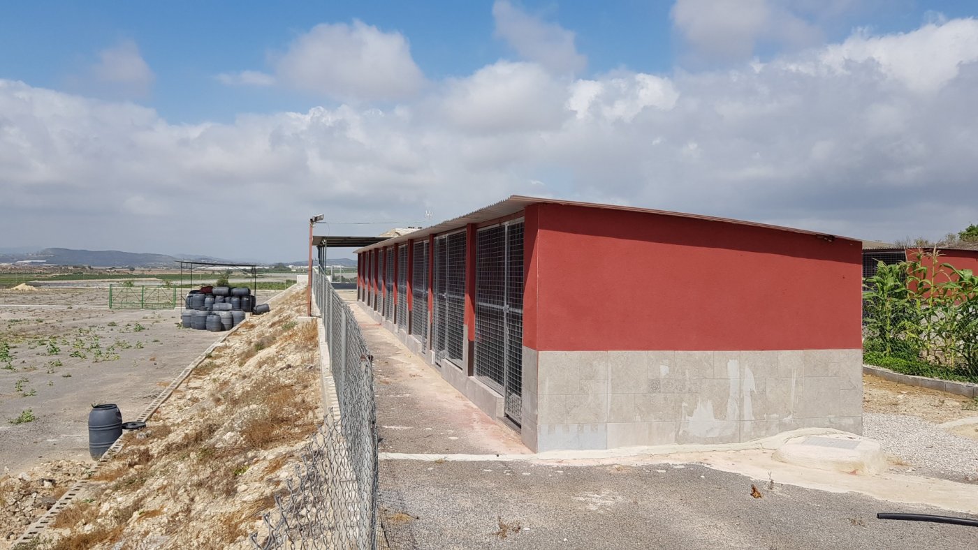 2 Bed, 2 Bath, HouseFor Sale, Los Montesinos, Alicante