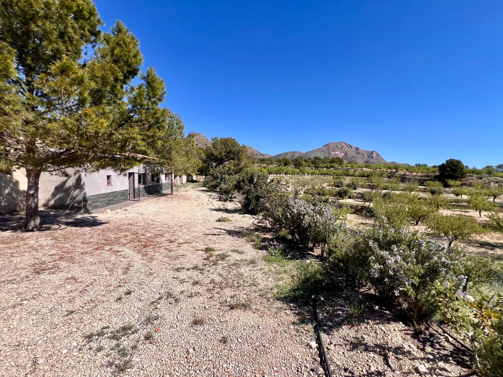 2 Bed, 1 Bath, HouseFor Sale, Barinas, Murcia