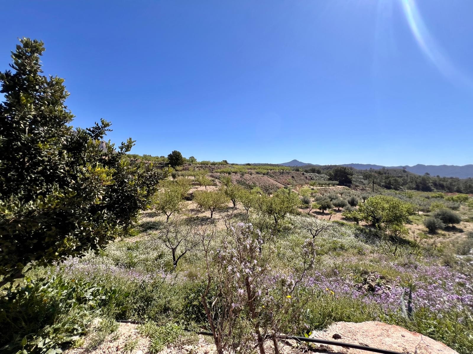 2 Bed, 1 Bath, HouseFor Sale, Barinas, Murcia