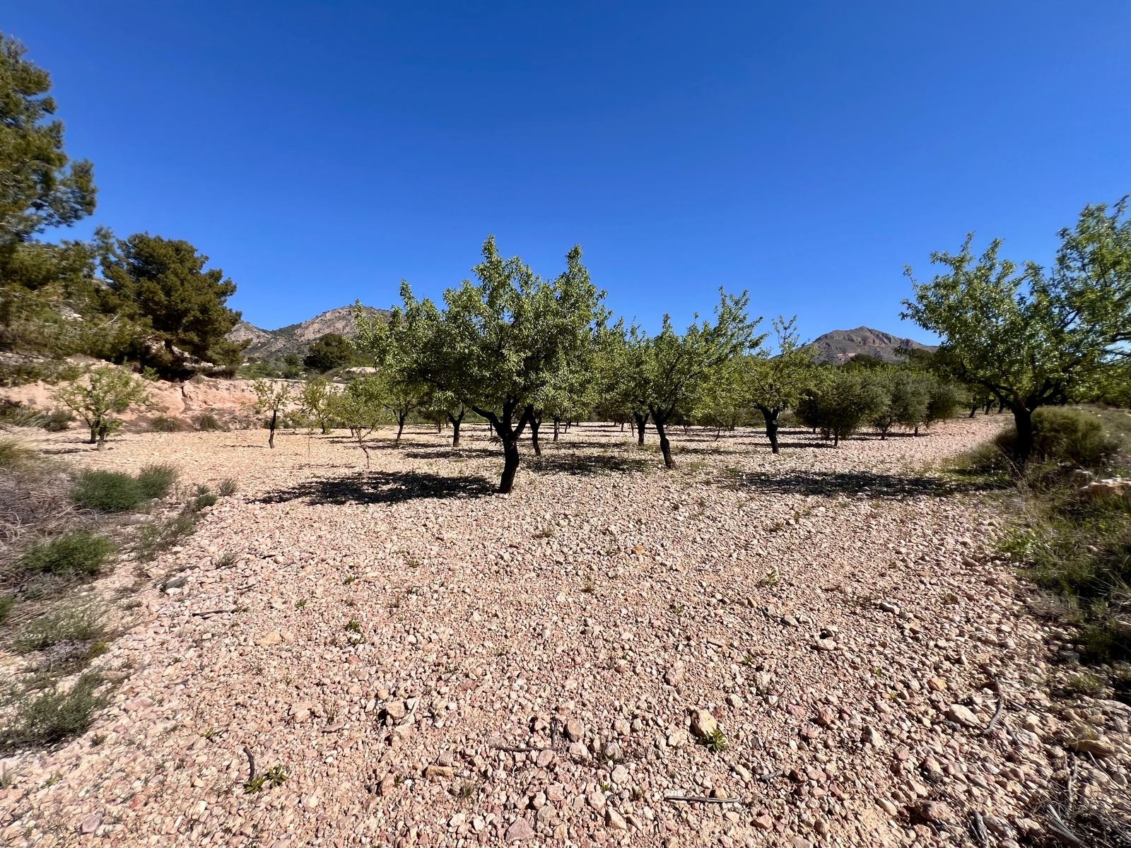 2 Bed, 1 Bath, HouseFor Sale, Barinas, Murcia